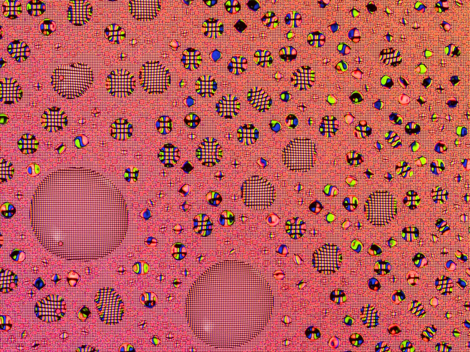 Magnified detail of the Tinder image from Tears, Spit & Cum, showing bodily fluid distorting the screen’s pixels and color gradient.