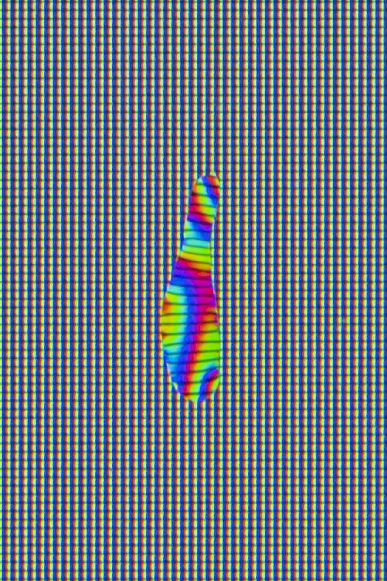 Magnified bodily-fluid forms on a screen from Tears, Spit & Cum, bringing organic matter into contact with the pixel grid of a digital interface.