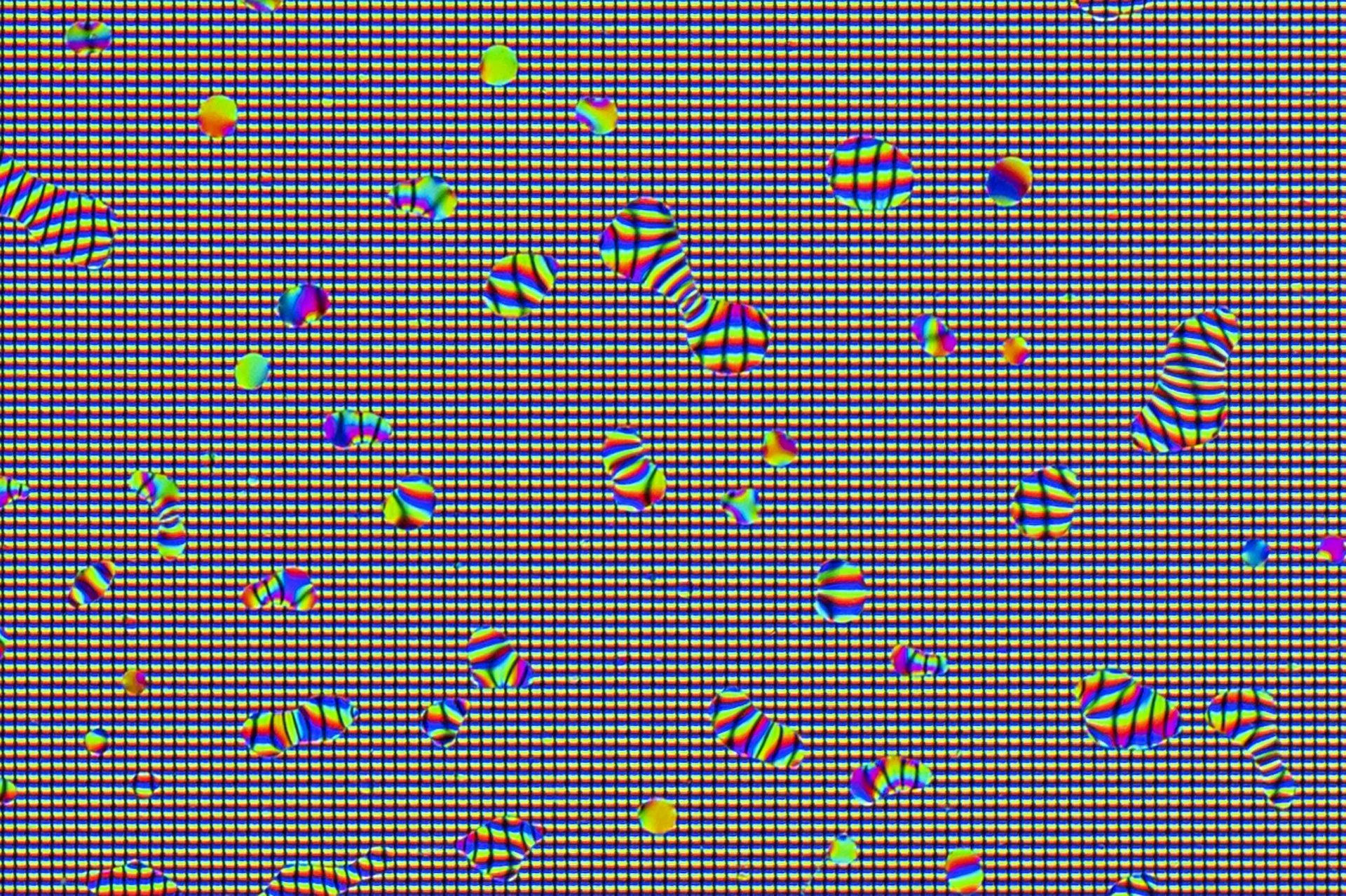 Detailed view from Tears, Spit & Cum, where organic droplets magnify and distort a screen’s pixel grid, connecting physical matter with the digital image.