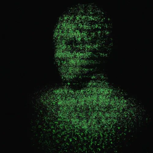 View A Self-Portrait of an Algorithm