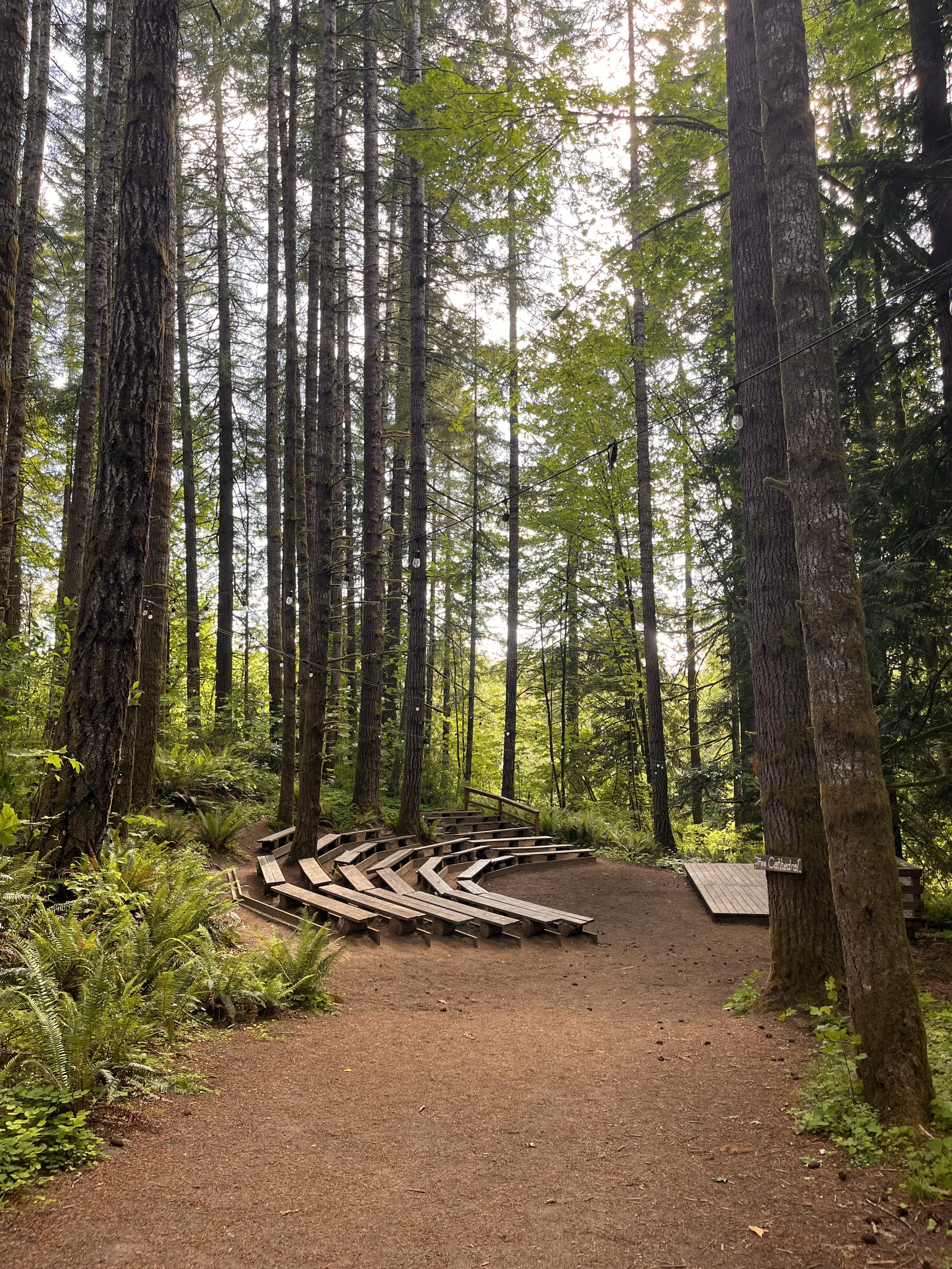 A forest path with wooden seating arranged in a semi-circle on the left side. Tall trees surround the area, with sunlight filtering through the green leaves. There is a small sign on the right that says 'Free Cathedral.'