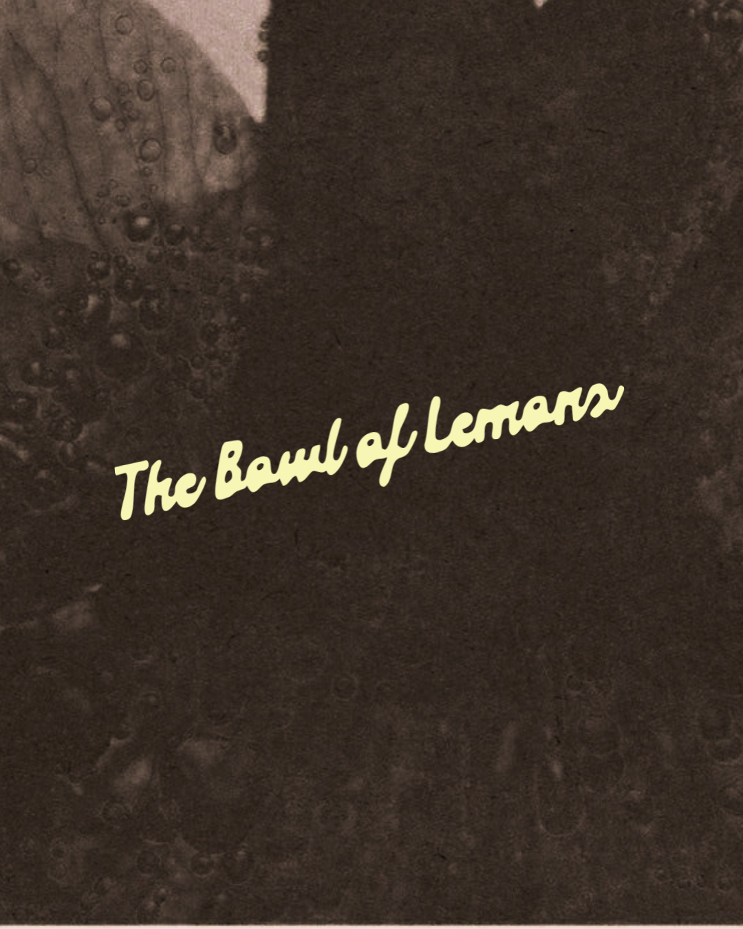 Close-up of a dark textured surface with the text 'The Bond of Lemons' written in fancy cursive font.