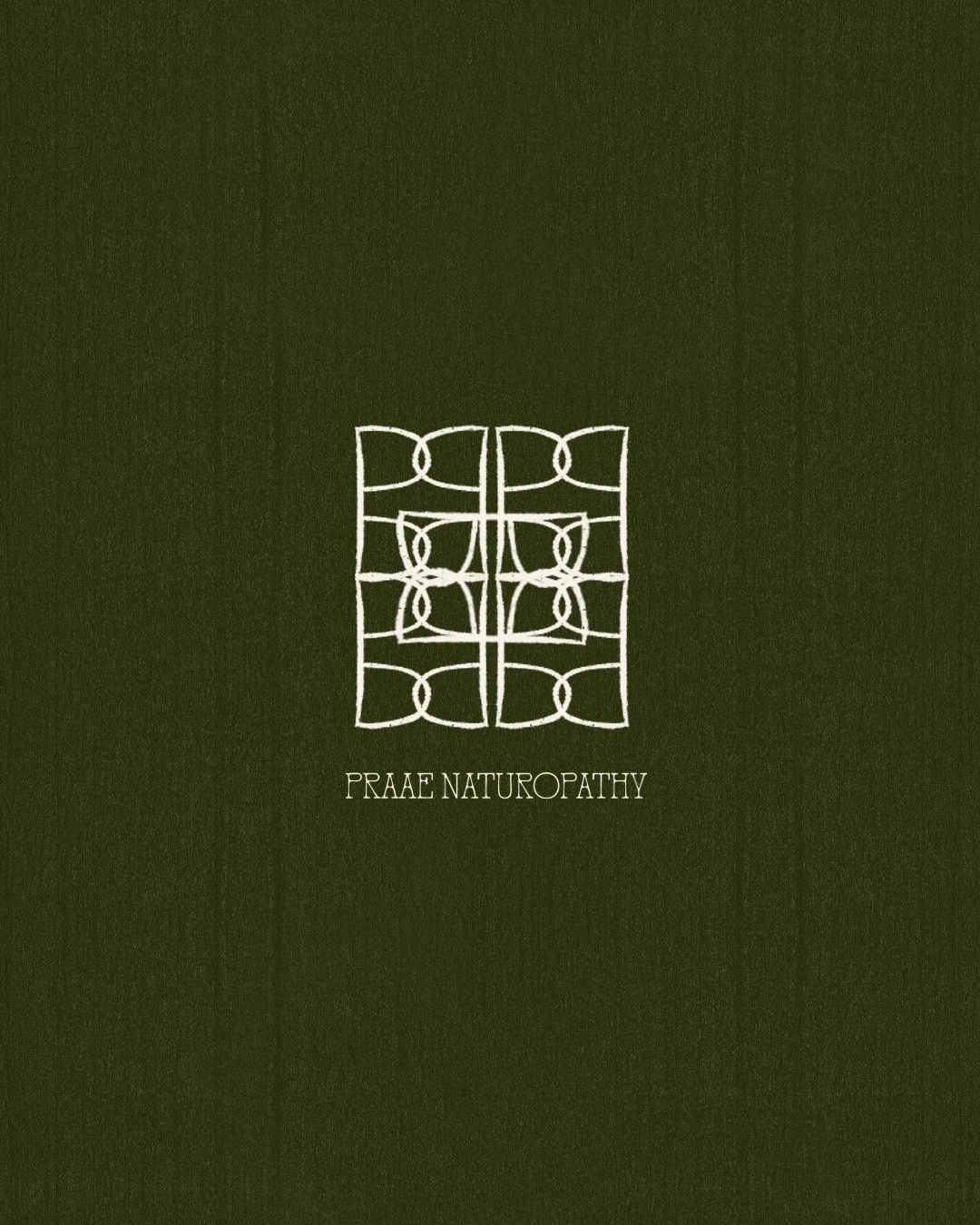 Green cover with a white geometric design and the words 'PRAE NATUROPATHY' beneath it.