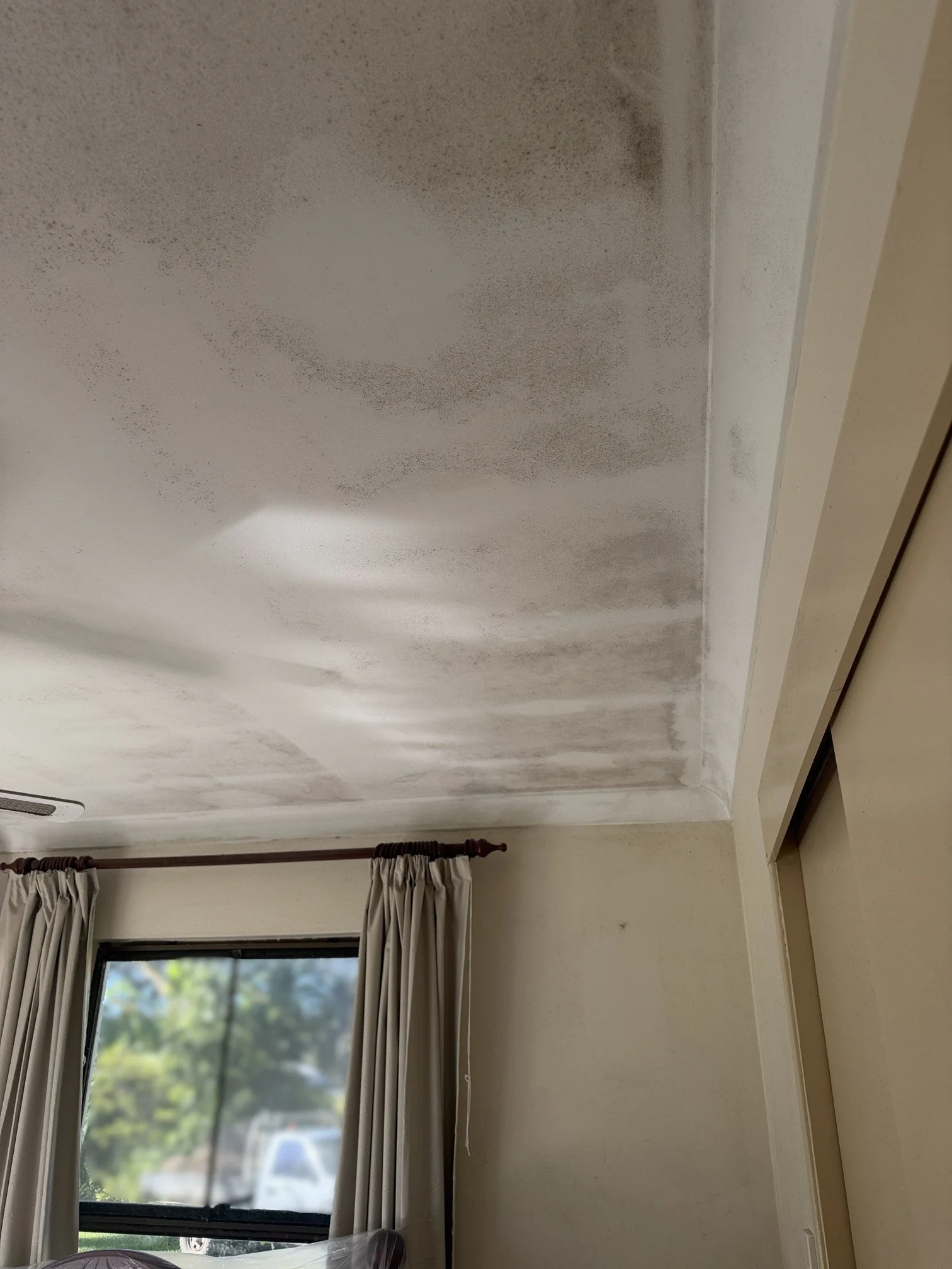 2210 Ceiling Before.jpg
