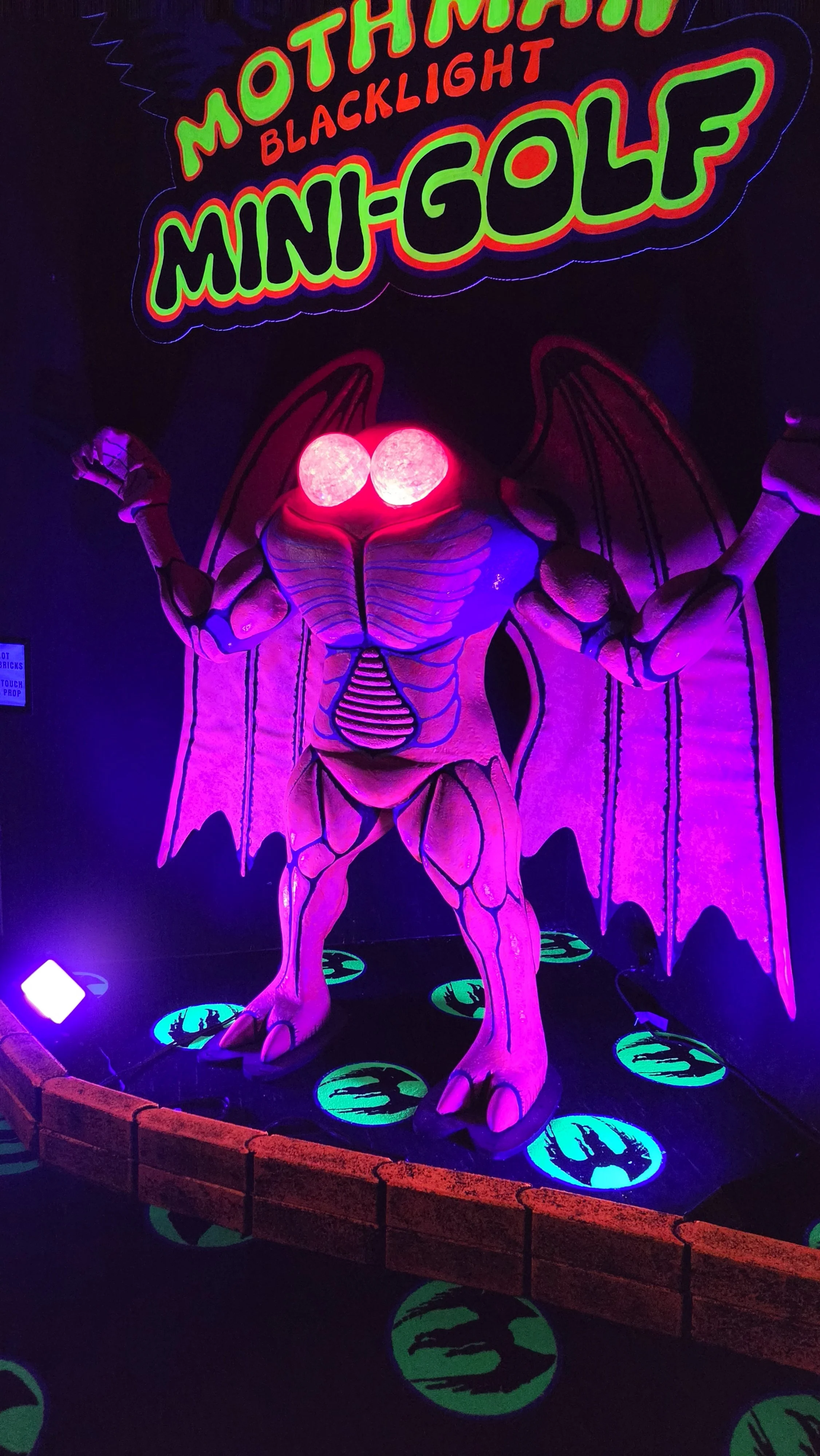 20260918_135224.jpg
