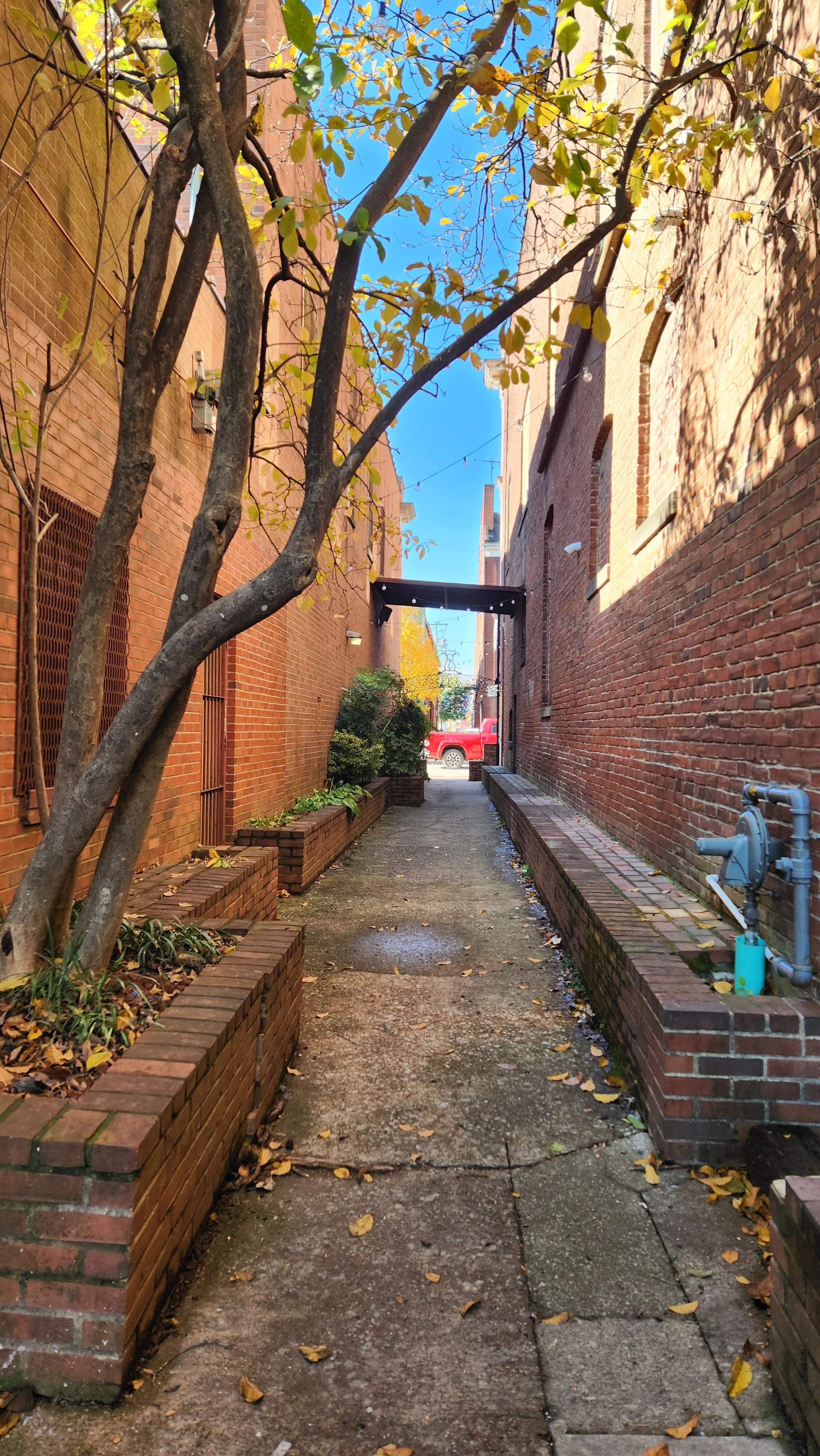 Fall and What’s Next