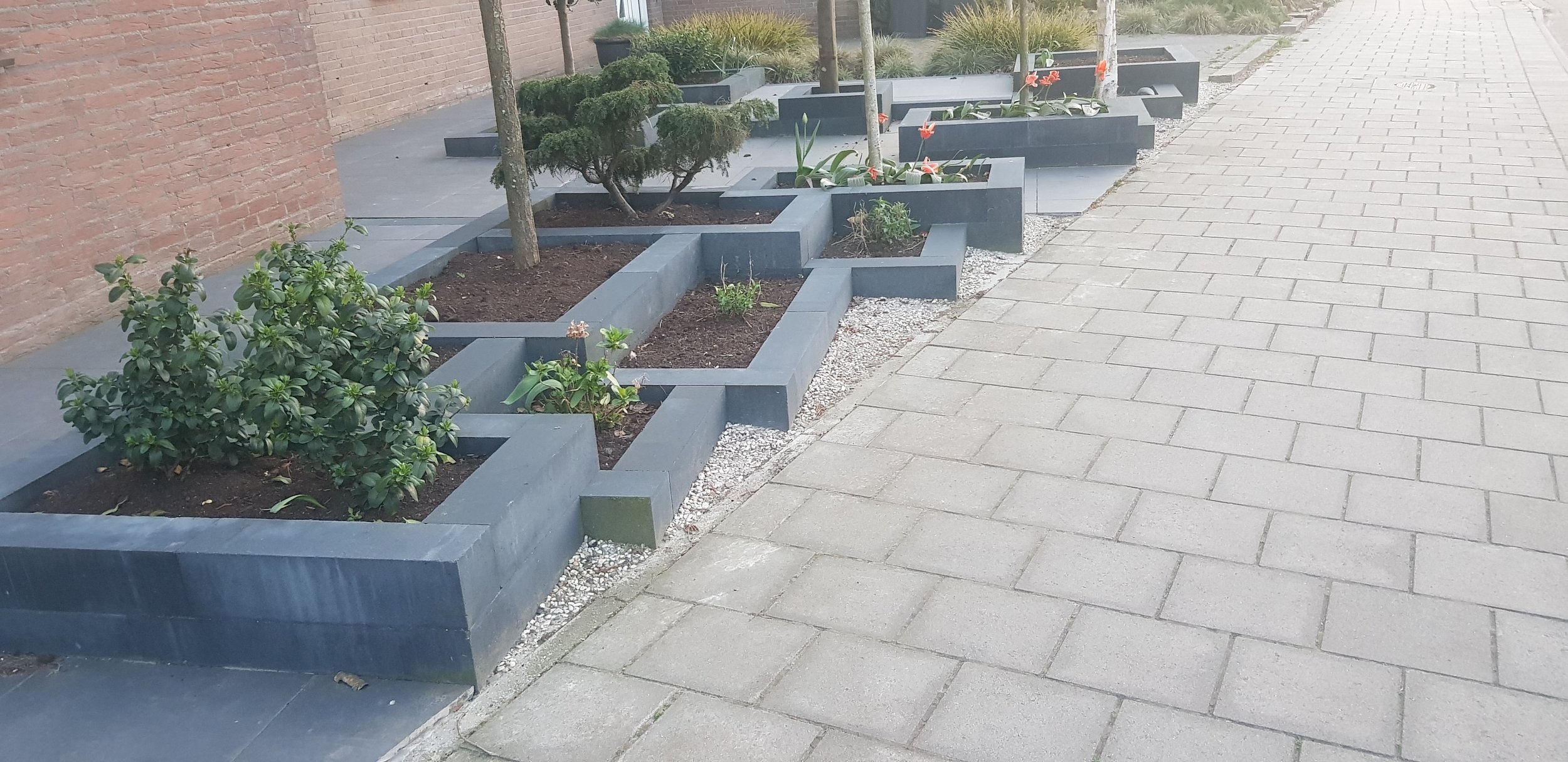 Urban sidewalk with modern gray rectangular planters containing small trees, bushes, and flowers, beside a brick wall and light gray paving stones.