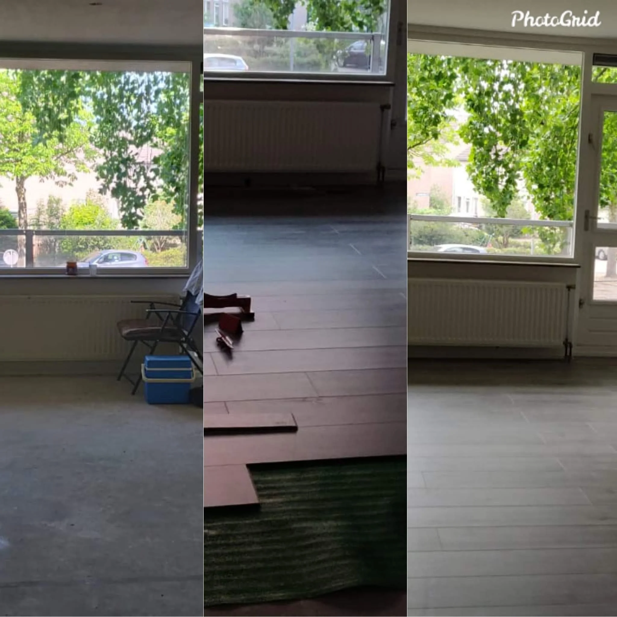 Three photos of a building interior showing large windows with trees and cars outside. The first photo shows a window with trees, the second shows a window with a parking lot, and the third shows a window with lush green leaves.