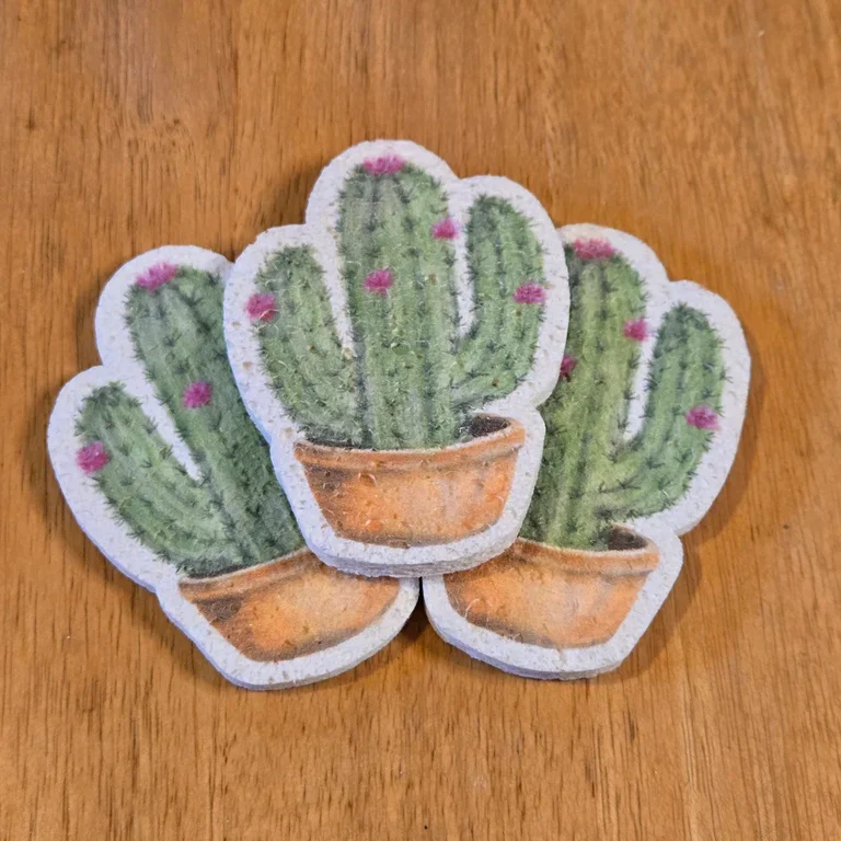 Cacti Sponges (3 Pack)