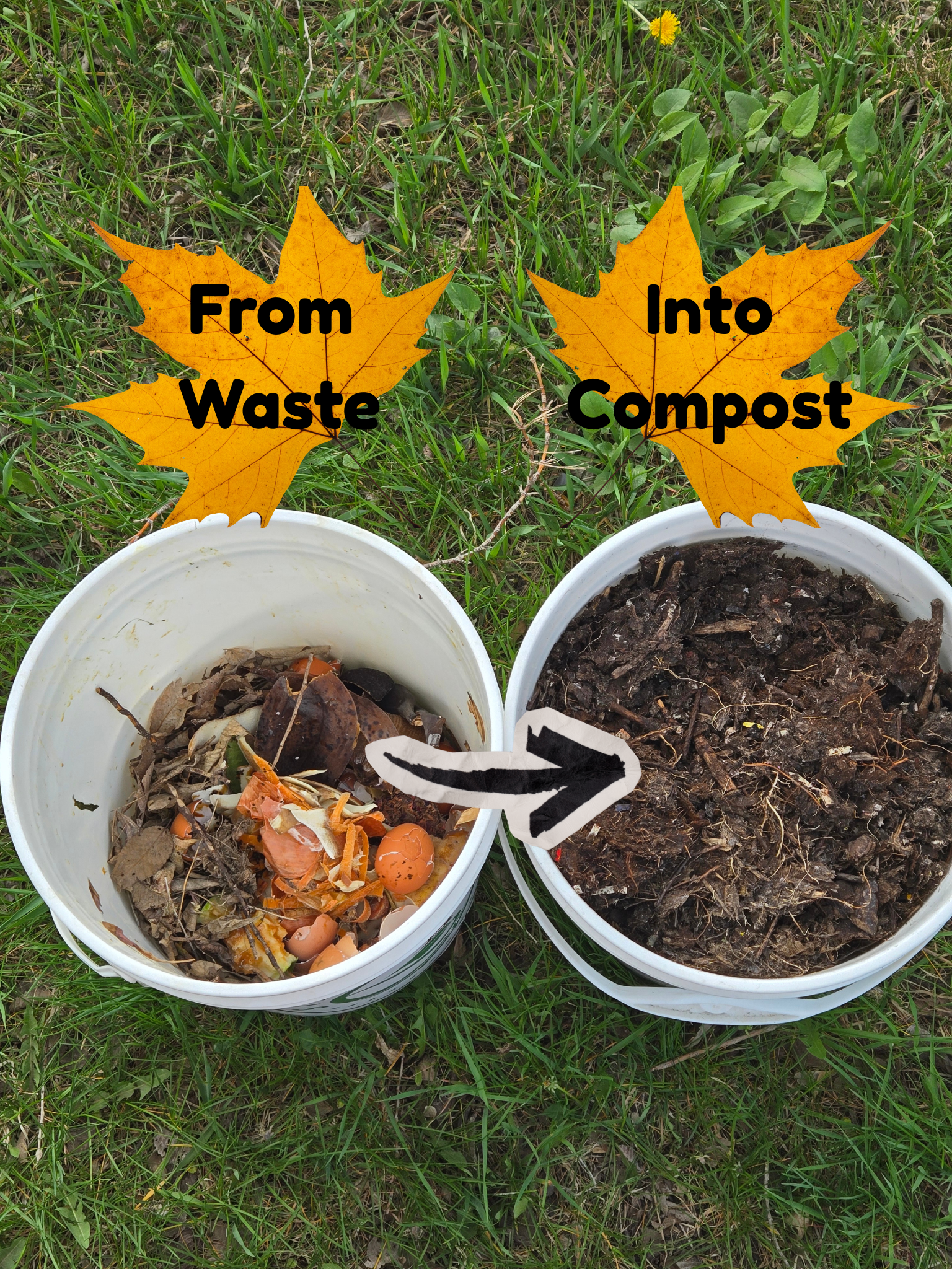 From Food waste.png