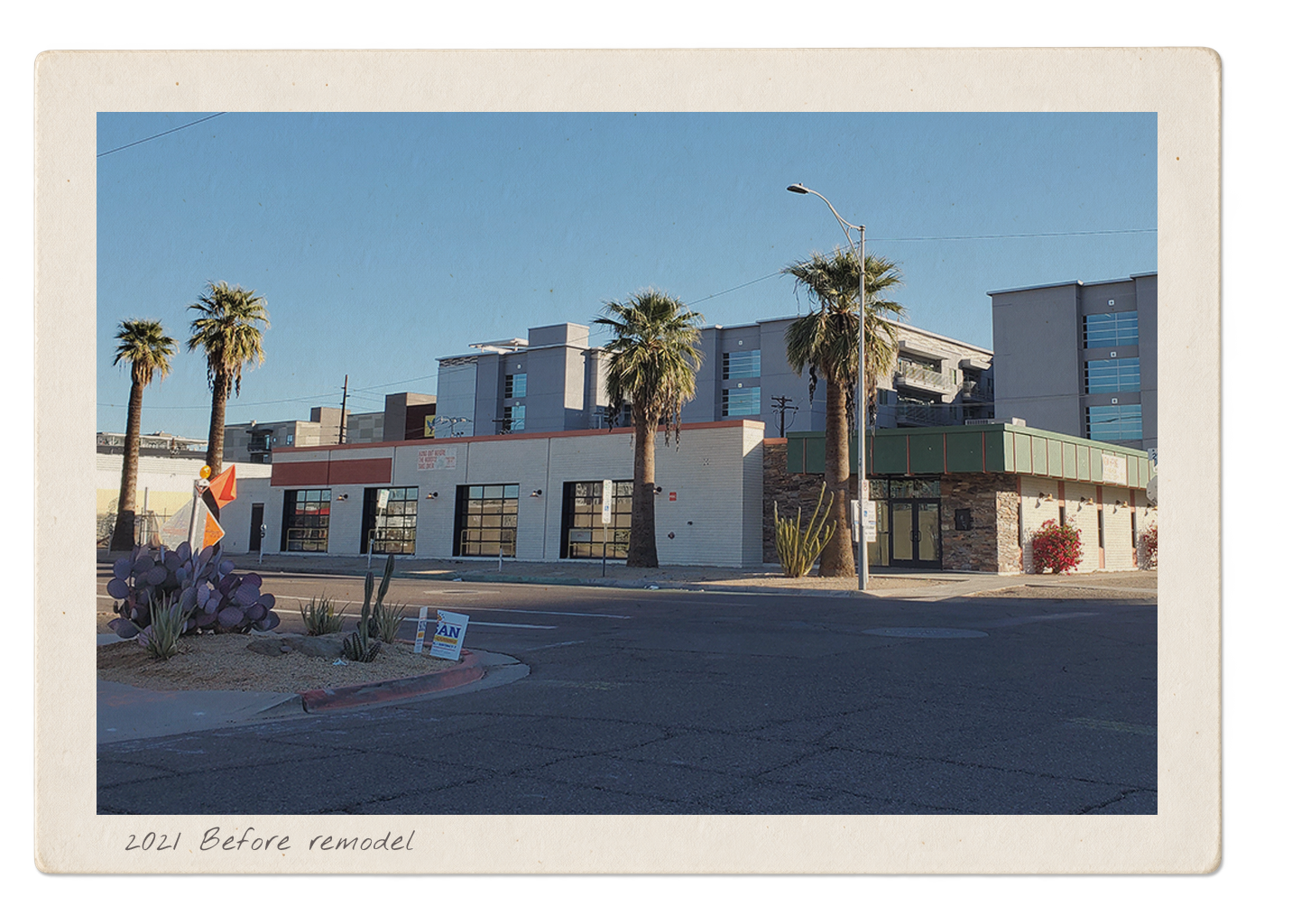 PALMA - 01.png
