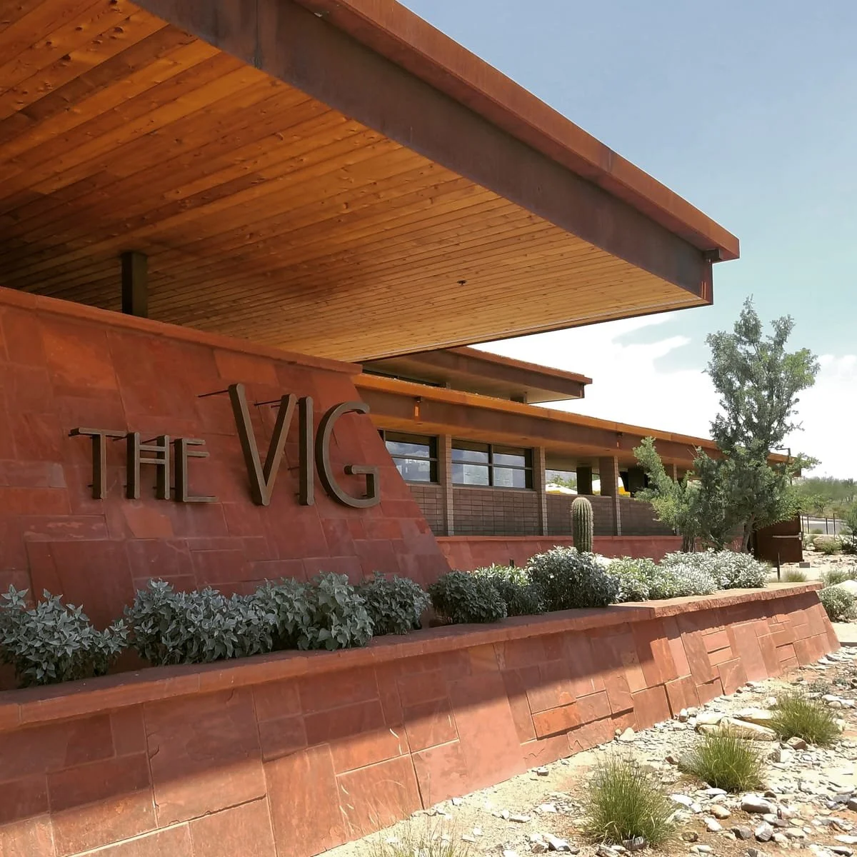the vig (16).jpg
