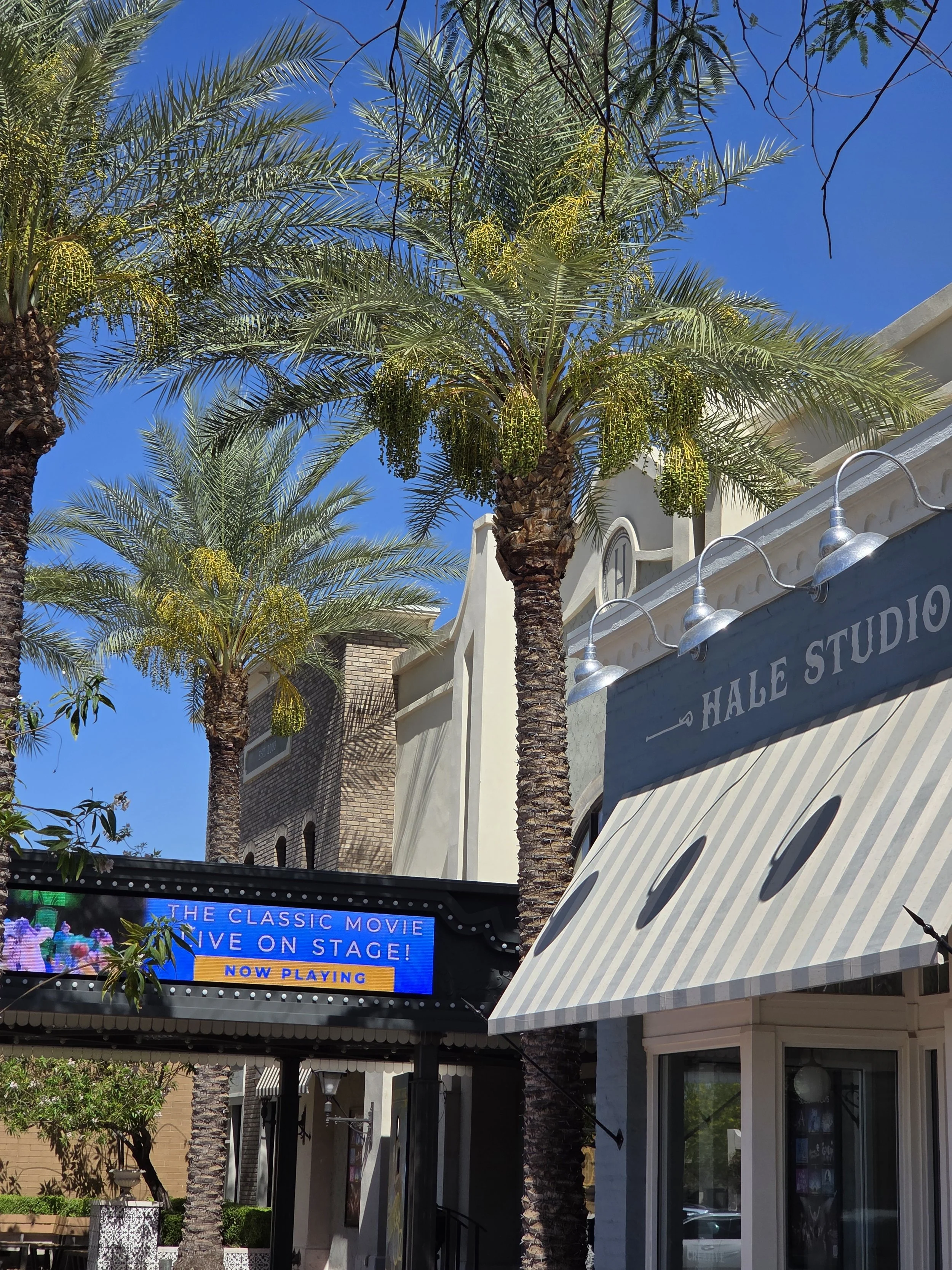 hale theater (17).jpg