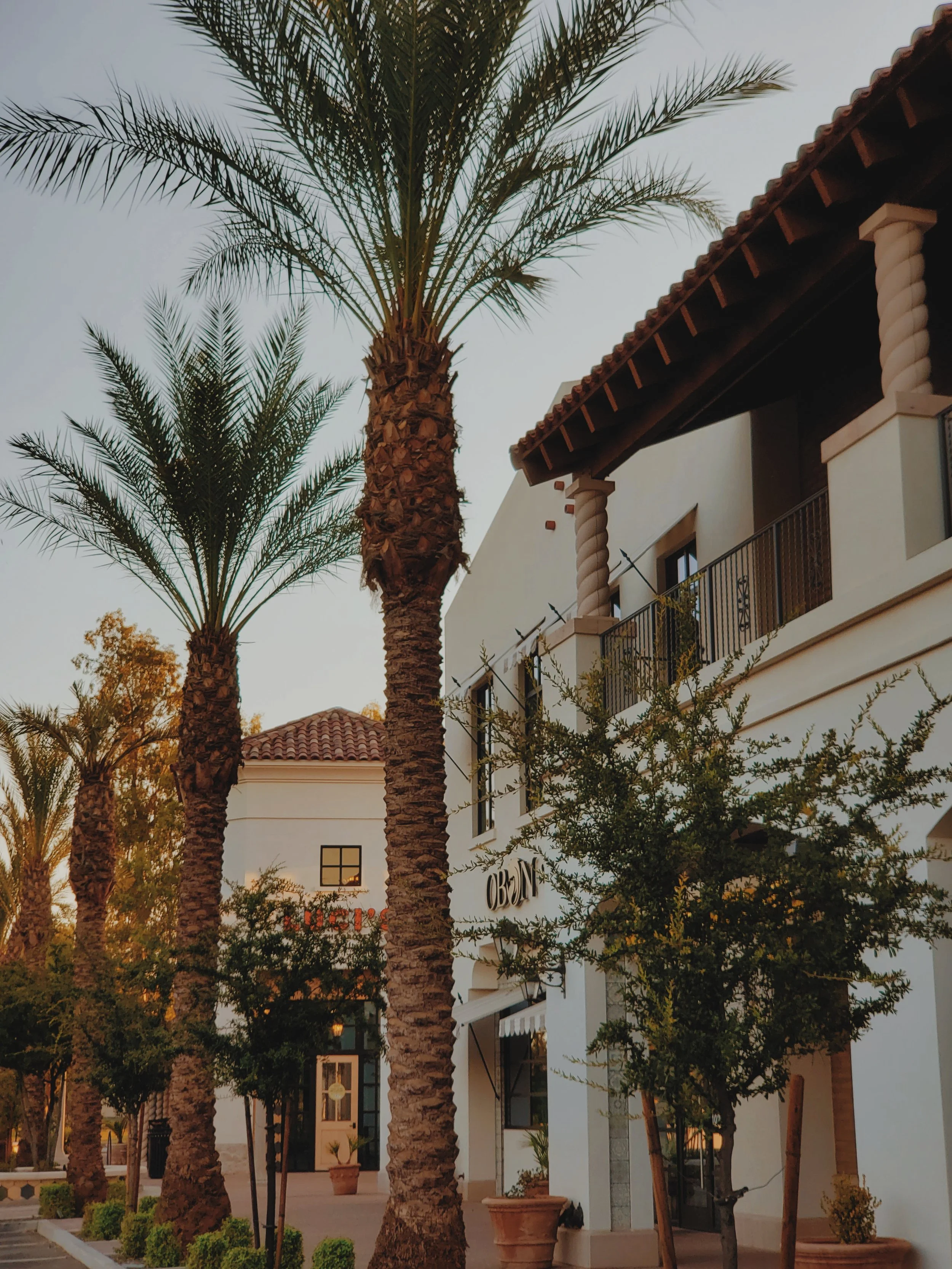 the grove (3).jpg