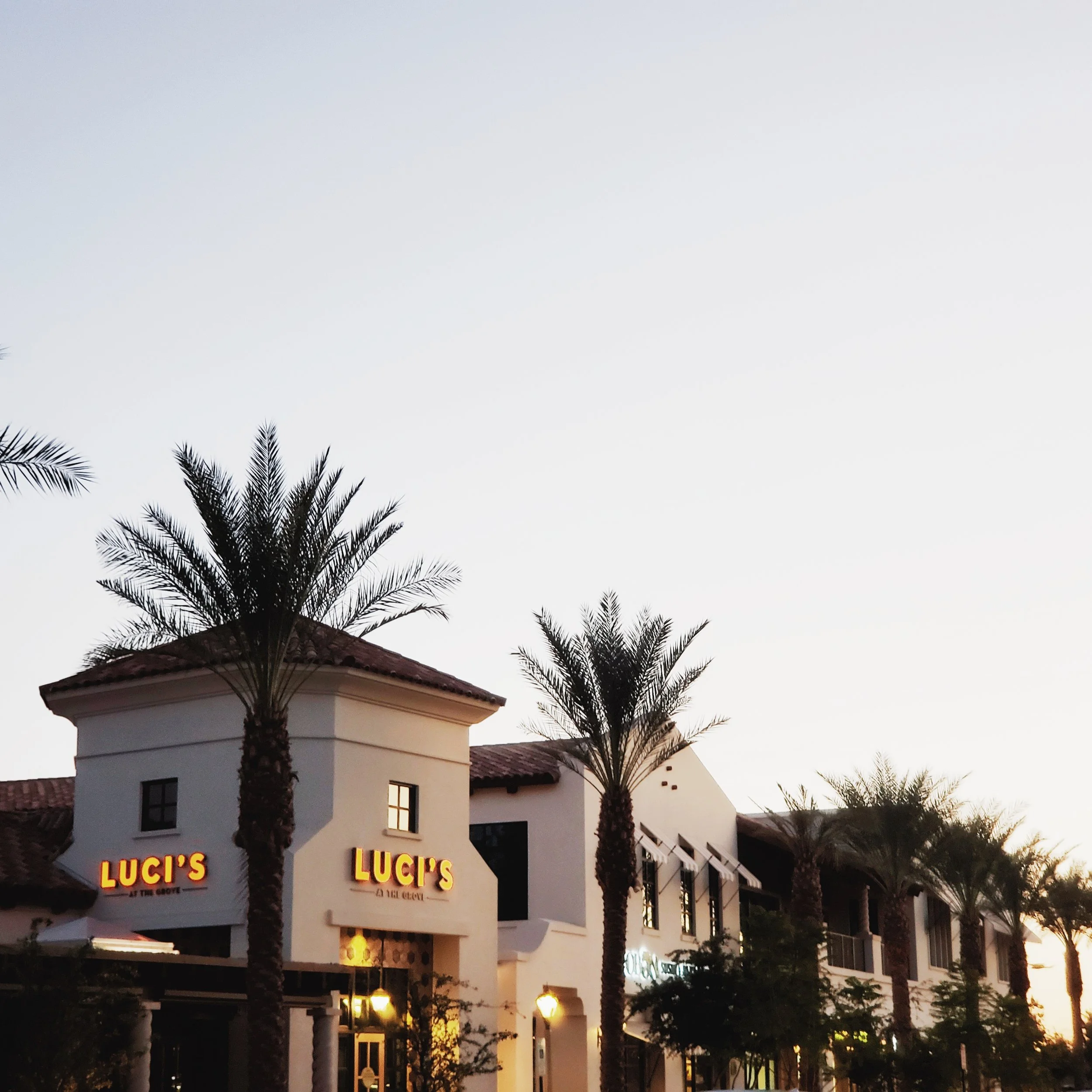 the grove (4).jpg