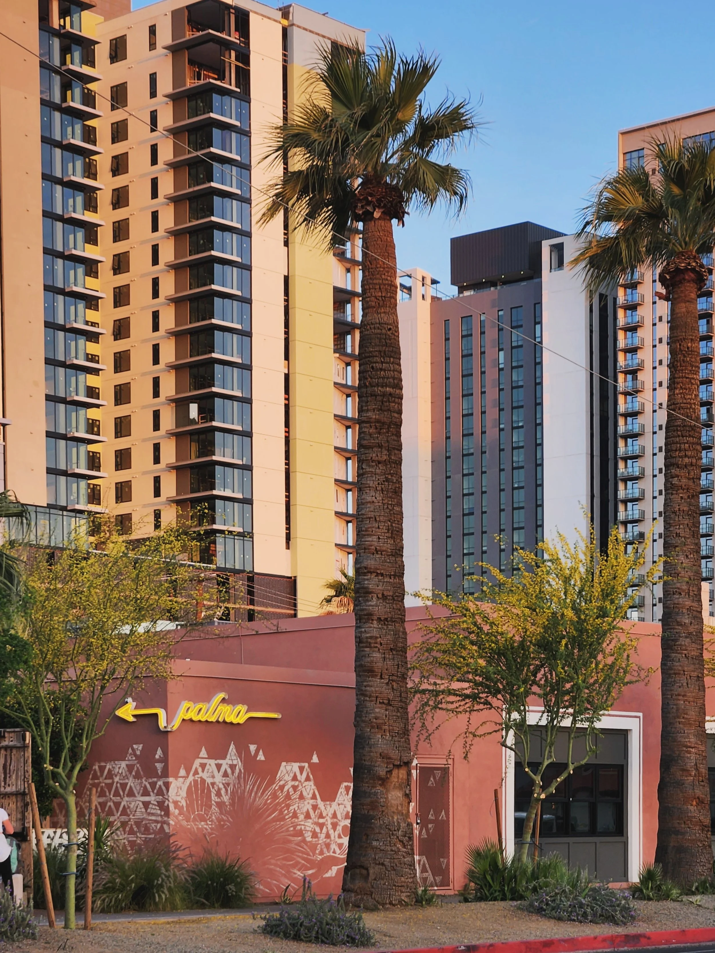 PALMA PHX (3).jpg