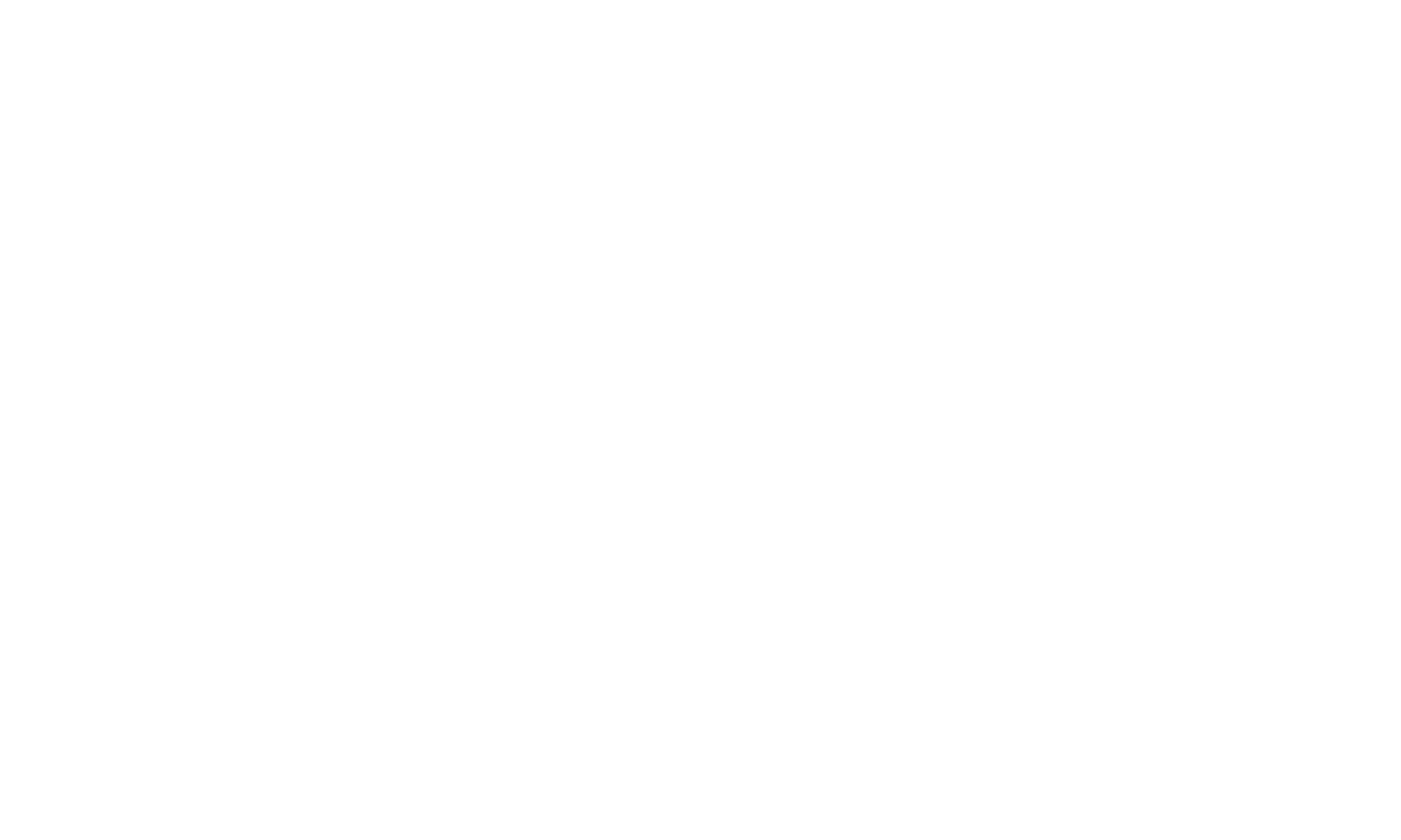 Black background with white text that reads 'GEOPARAS' and 'BLING' in large serif font.