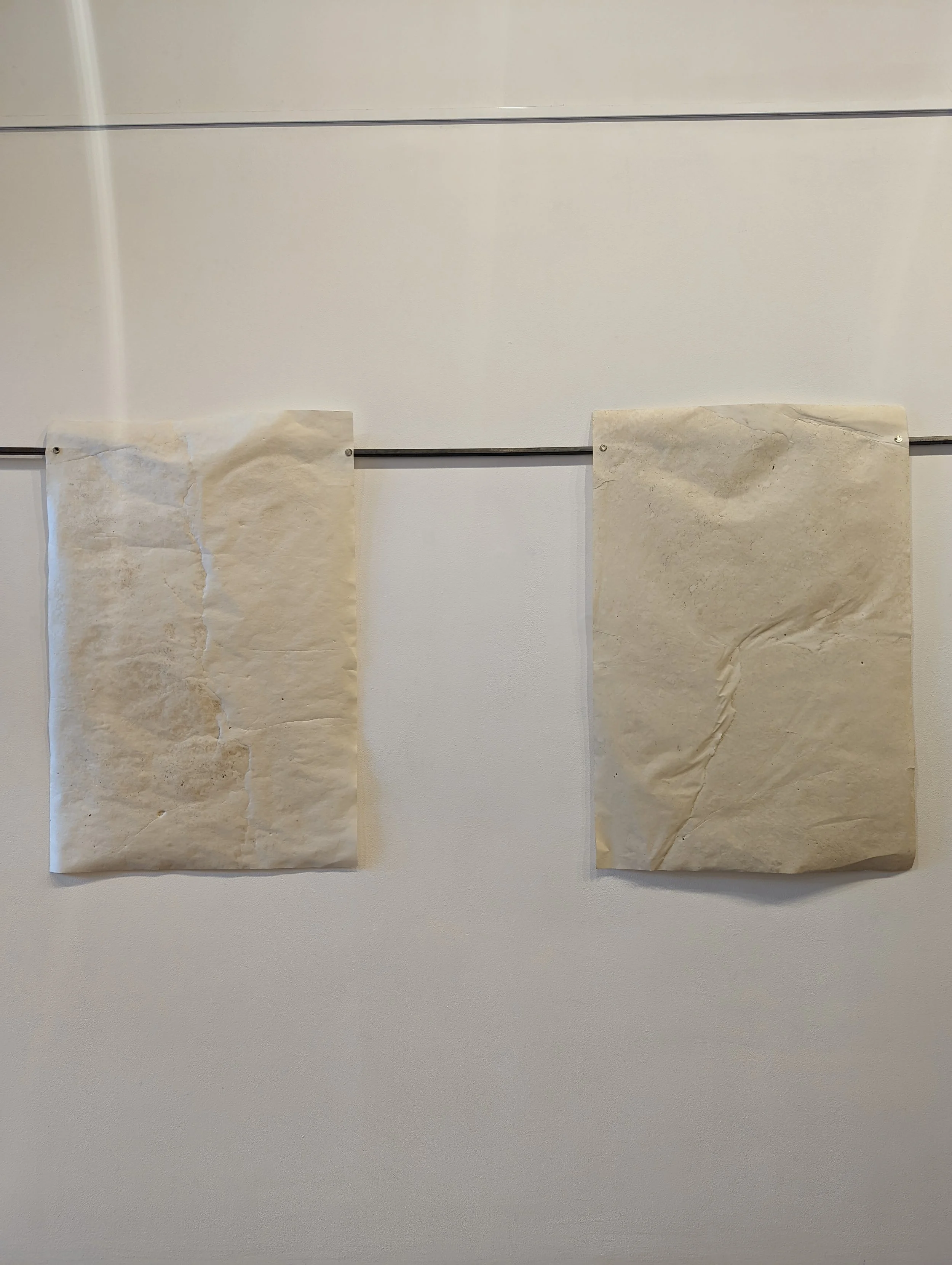 Two sheets of crumpled parchment paper attached to metal wires, hanging on a white wall.
