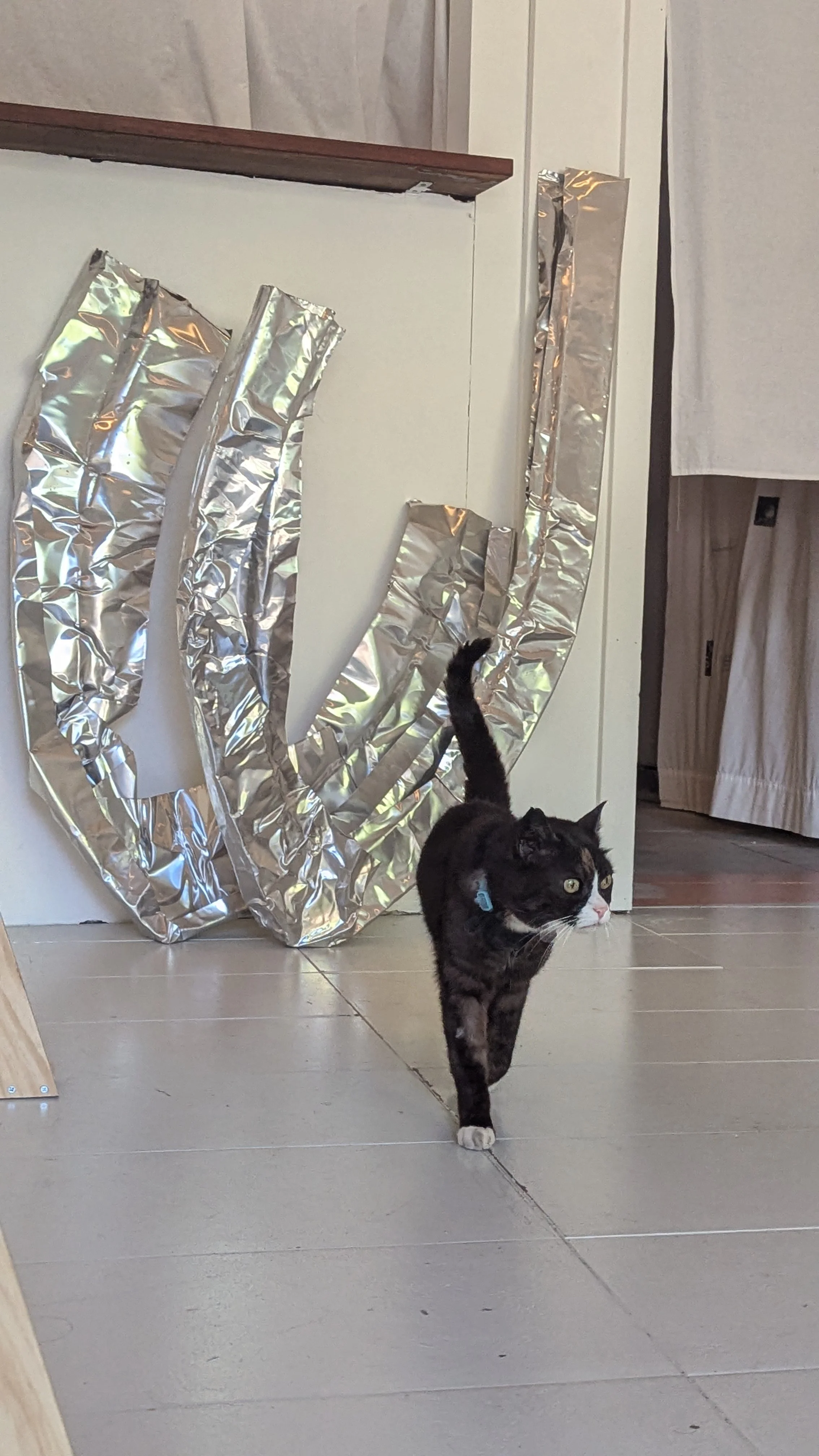 A black and gray tabby cat walking on a tiled floor in front of crumpled foil insulation sheets, with kitchen cabinets and curtains in the background.