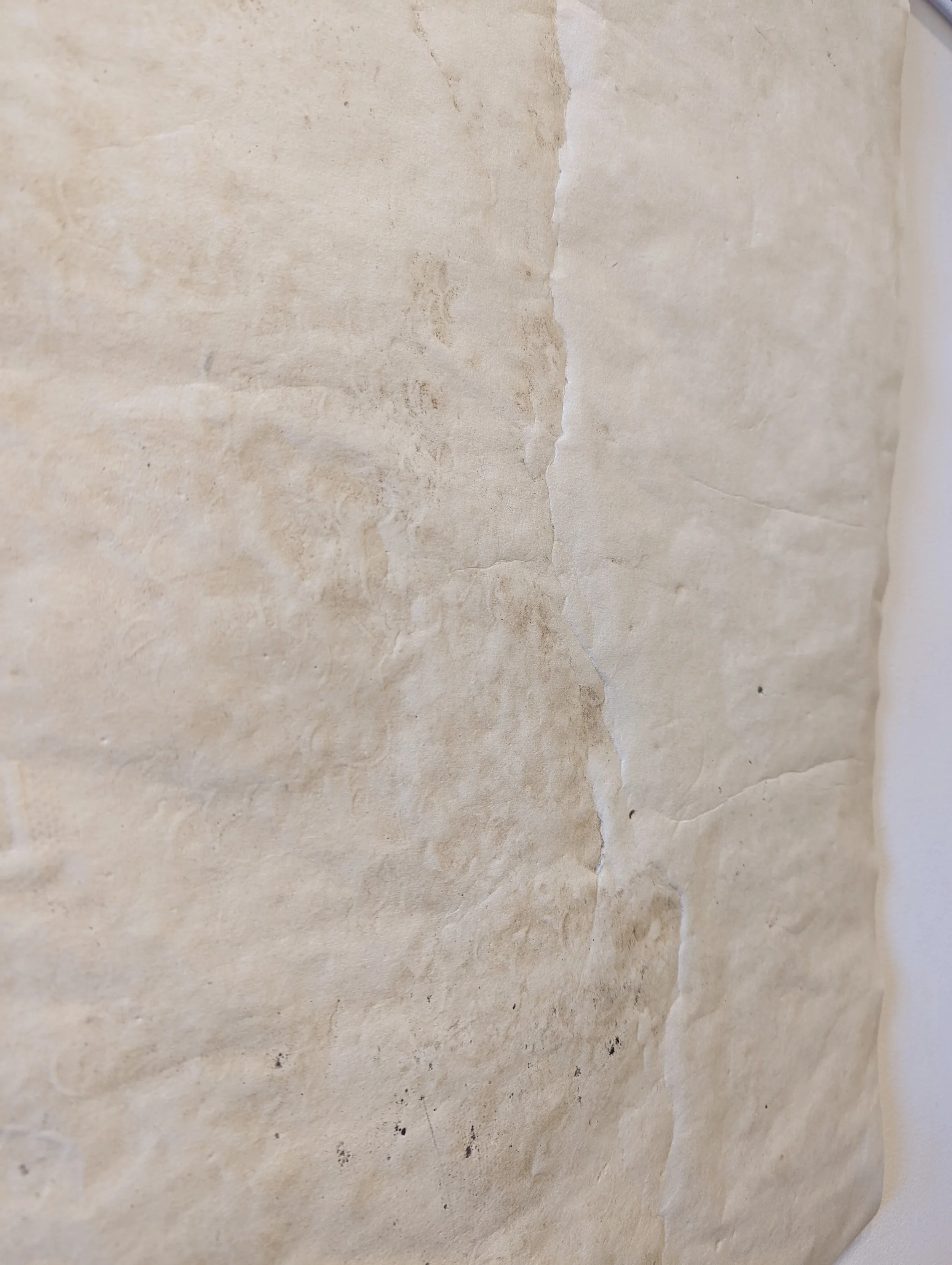Close-up of a torn piece of beige, textured paper with uneven edges and small black specks.