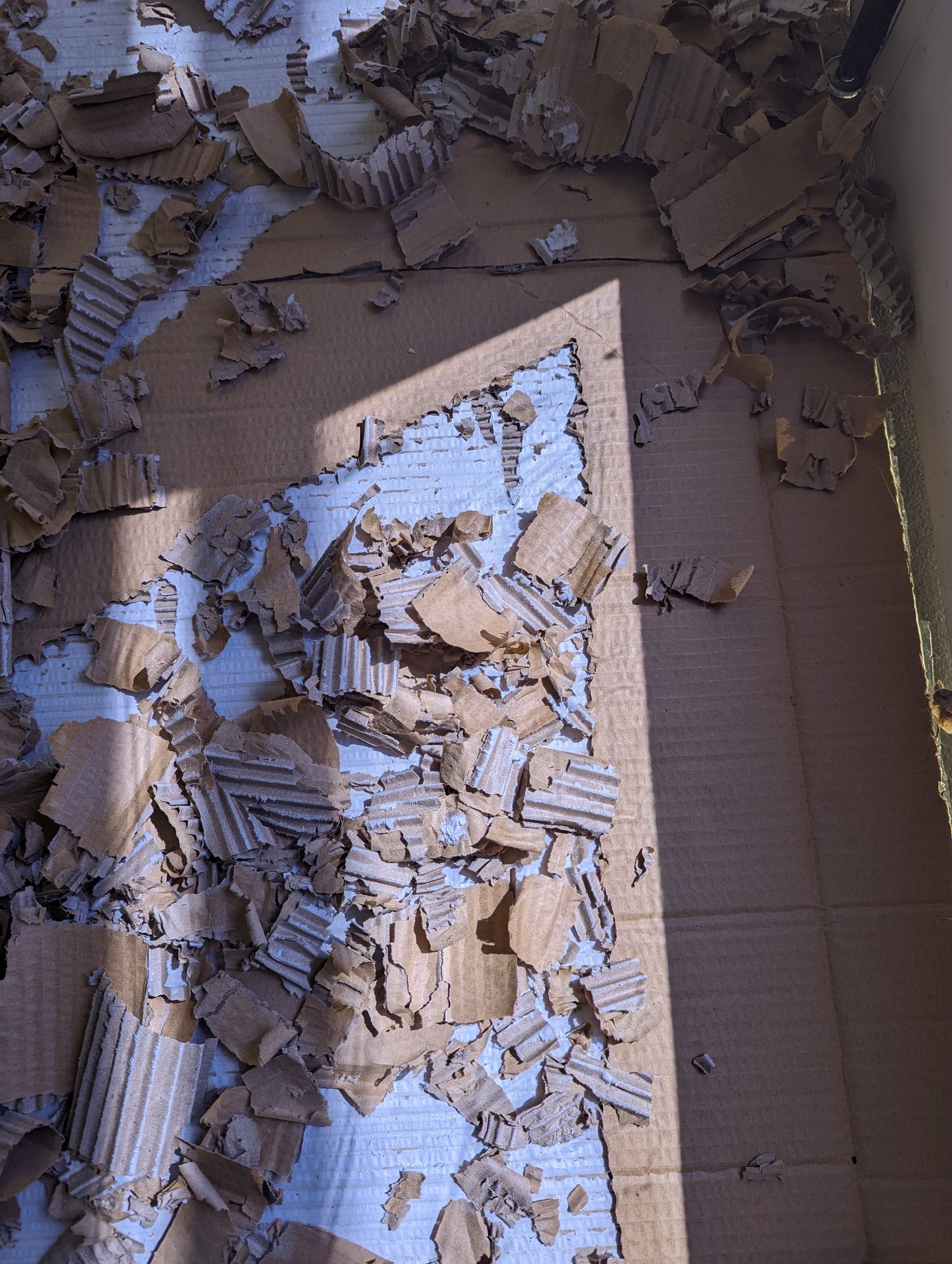 Upside down cardboard box with ripped and torn shredded cardboard pieces inside.