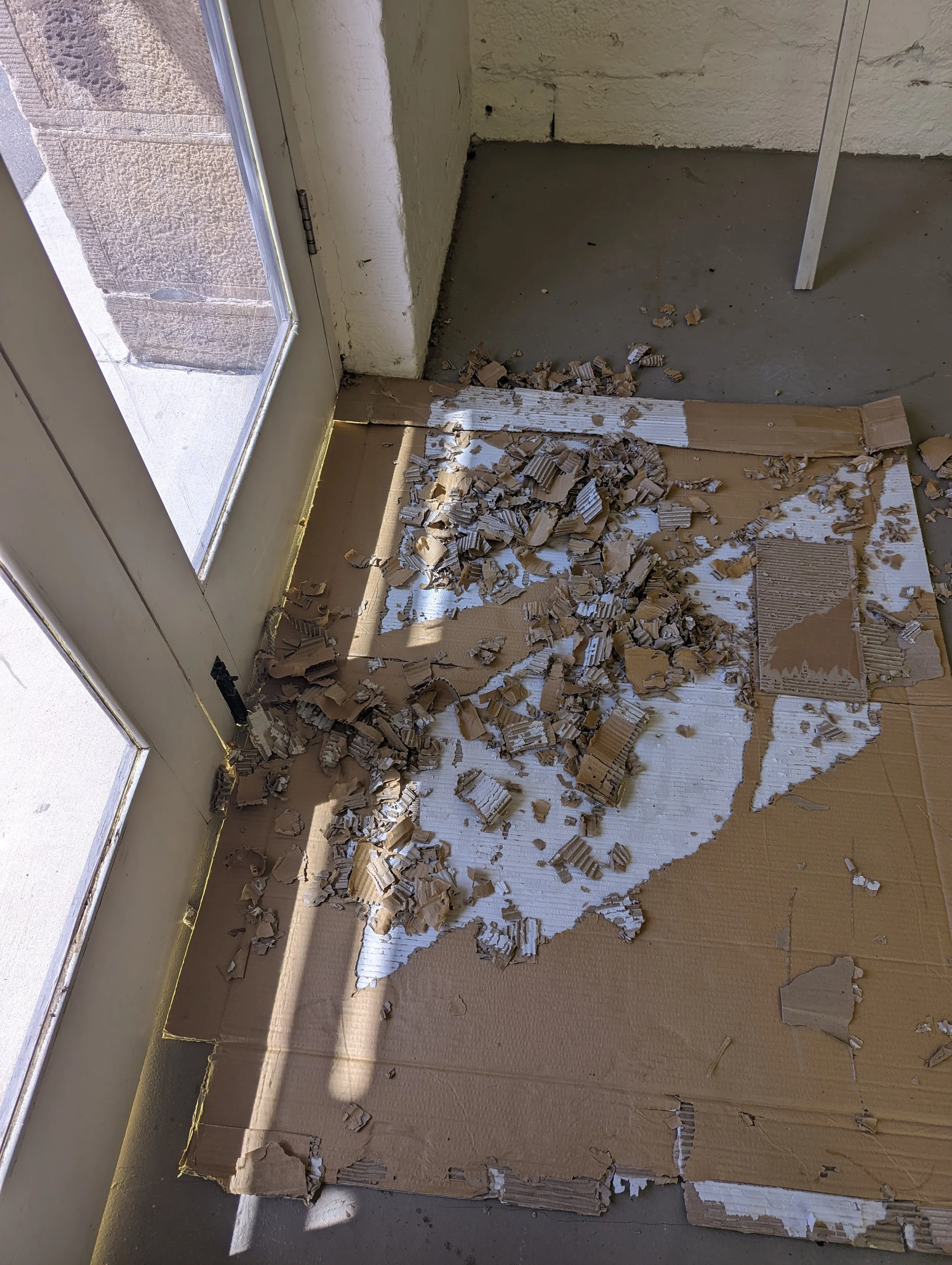 The image shows a section of a door with broken and torn cardboard pieces scattered on the floor near the door threshold inside a building. Outside the door, a brick exterior wall is visible.