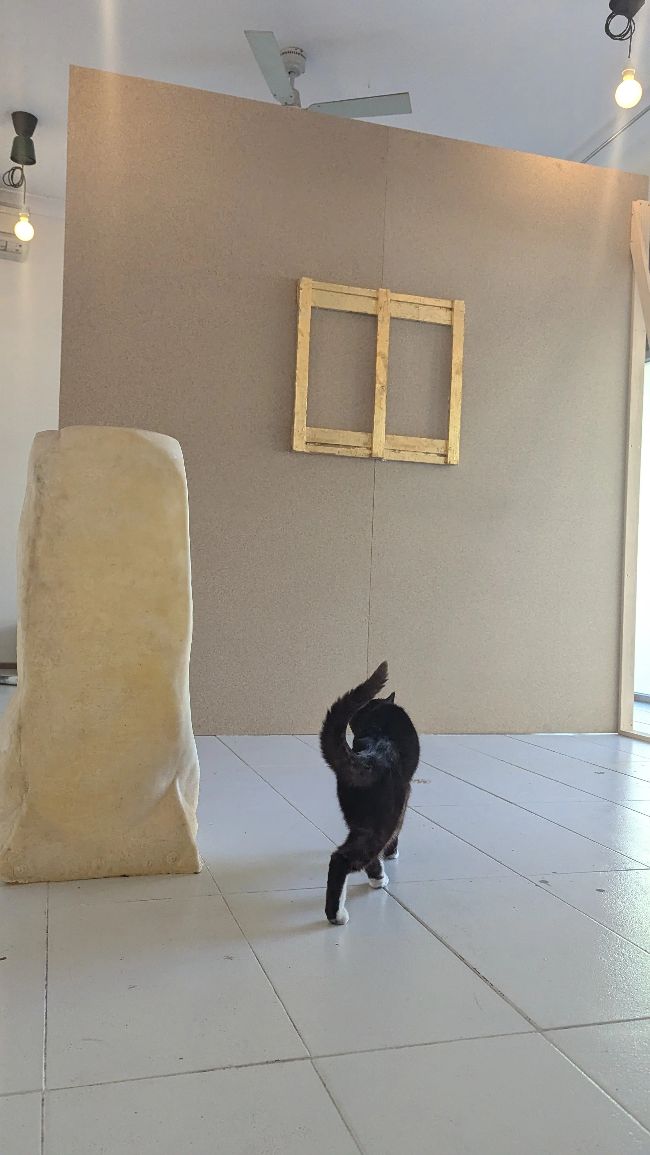 A black and white cat with a curled tail walking indoors on white tiled flooring. In the background is a gray wall with a wooden frame and a beige upholstered chair.