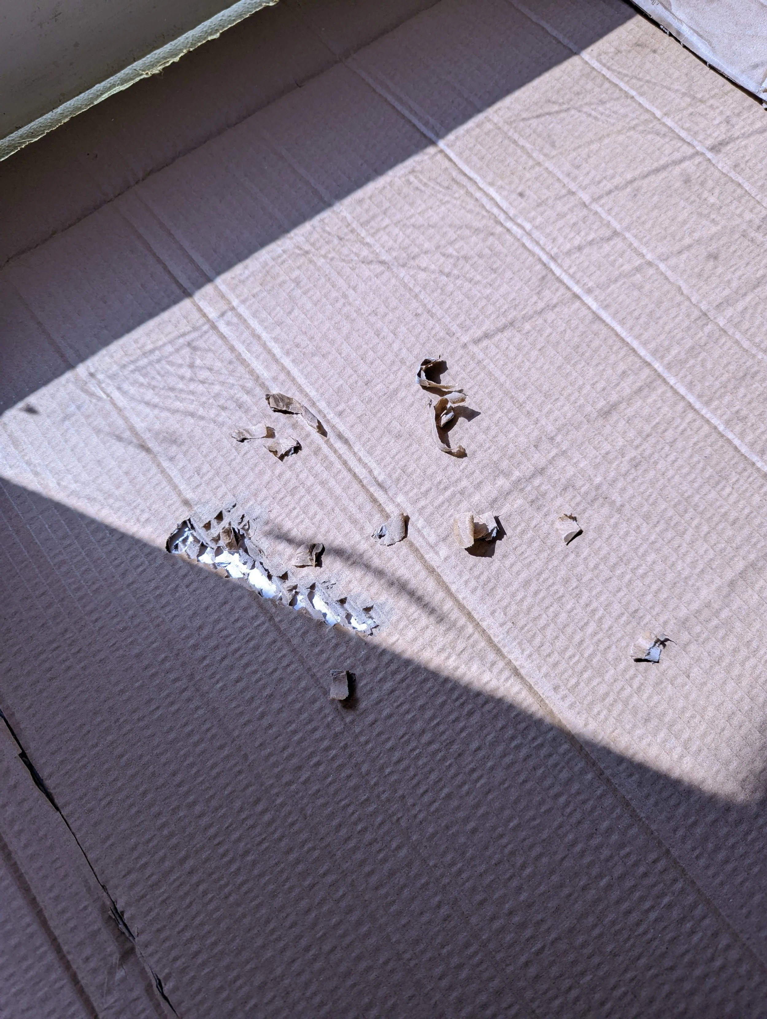 A cardboard surface with torn pieces of paper and a large tear in one part of the cardboard, with shadows cast across the surface.