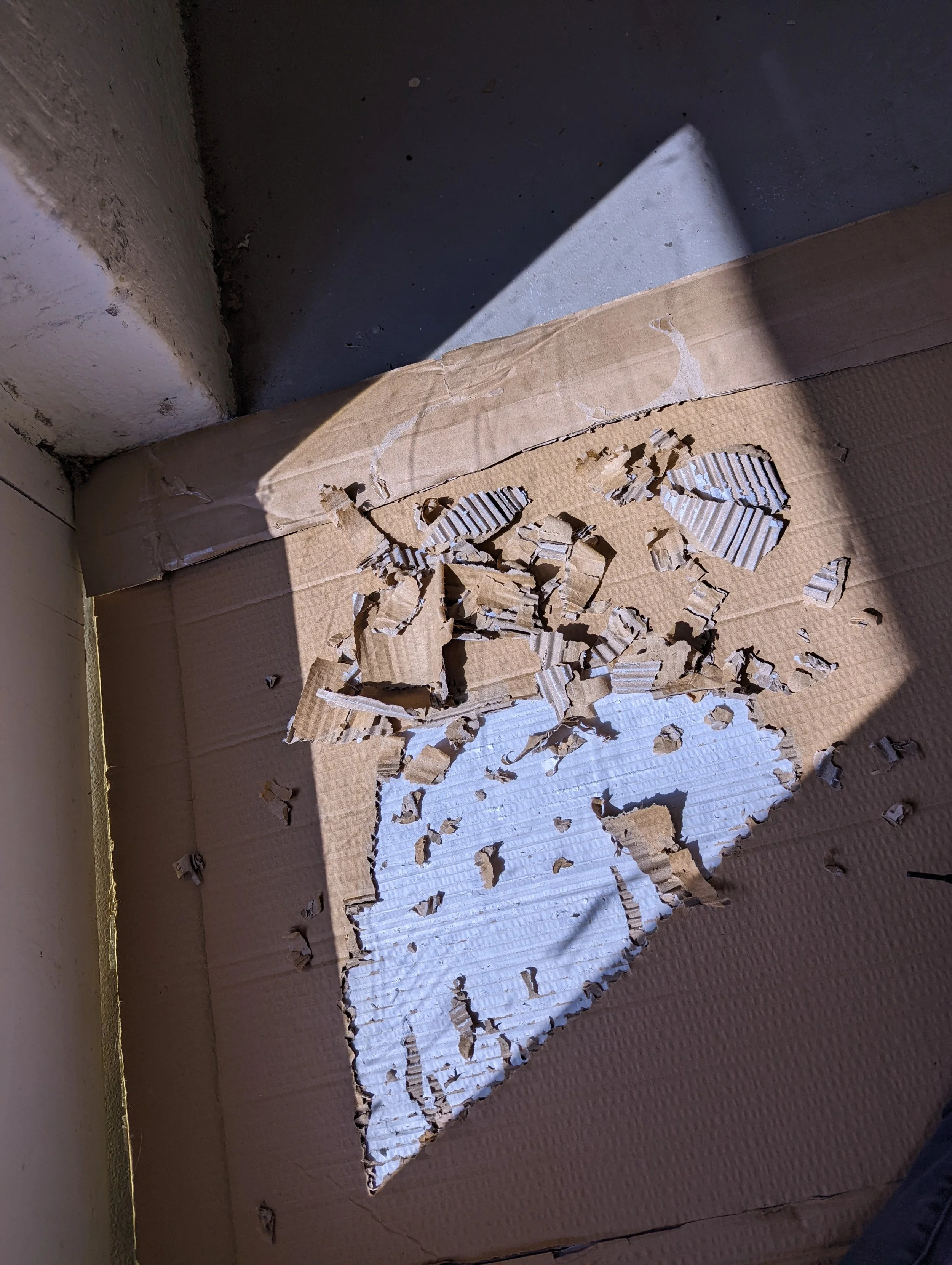 Part of a cardboard box with a large hole and torn edges, sitting on a textured floor with a shadow cast across it.