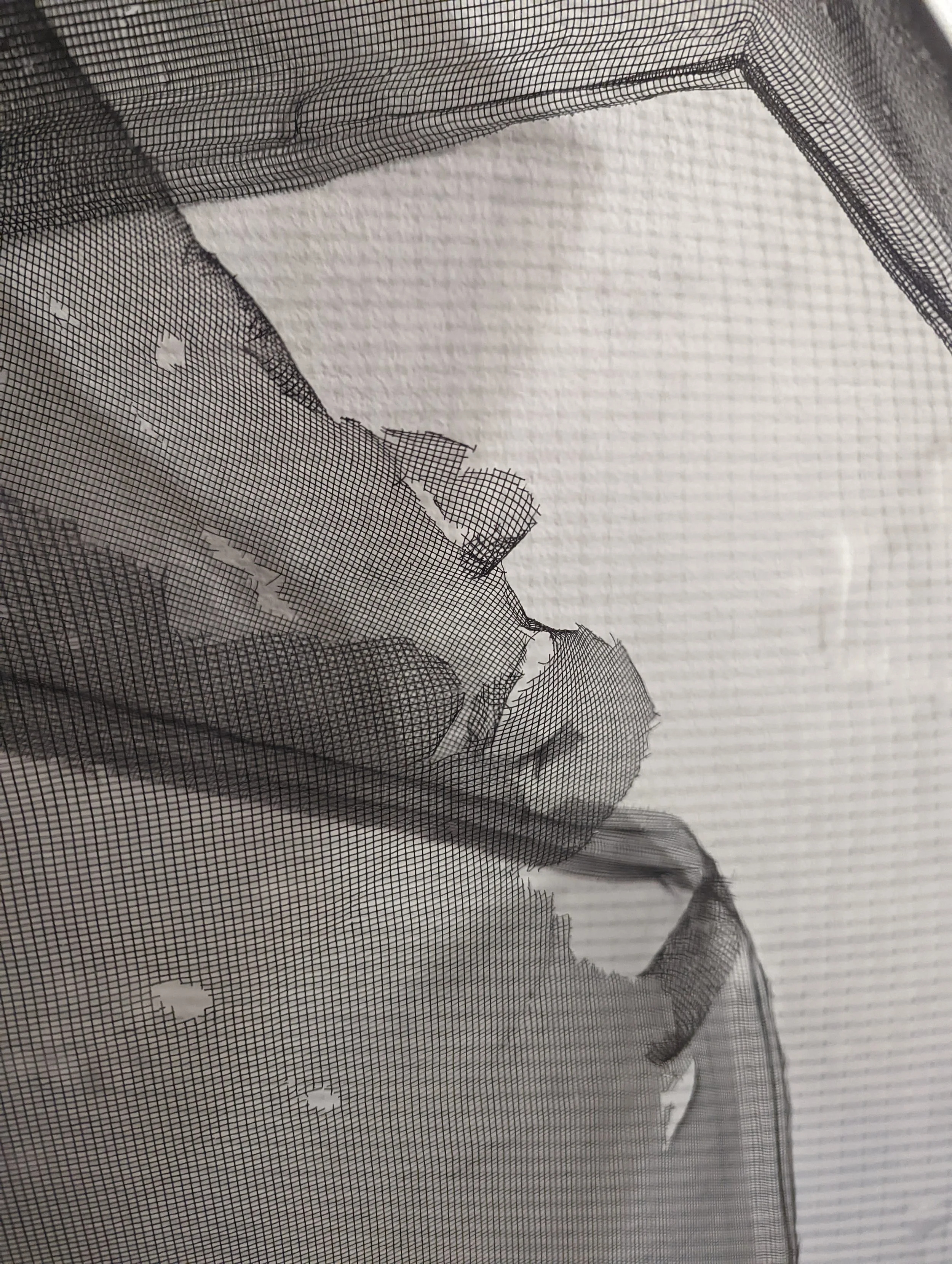 Close-up of a torn and frayed black mesh fabric with a white background.