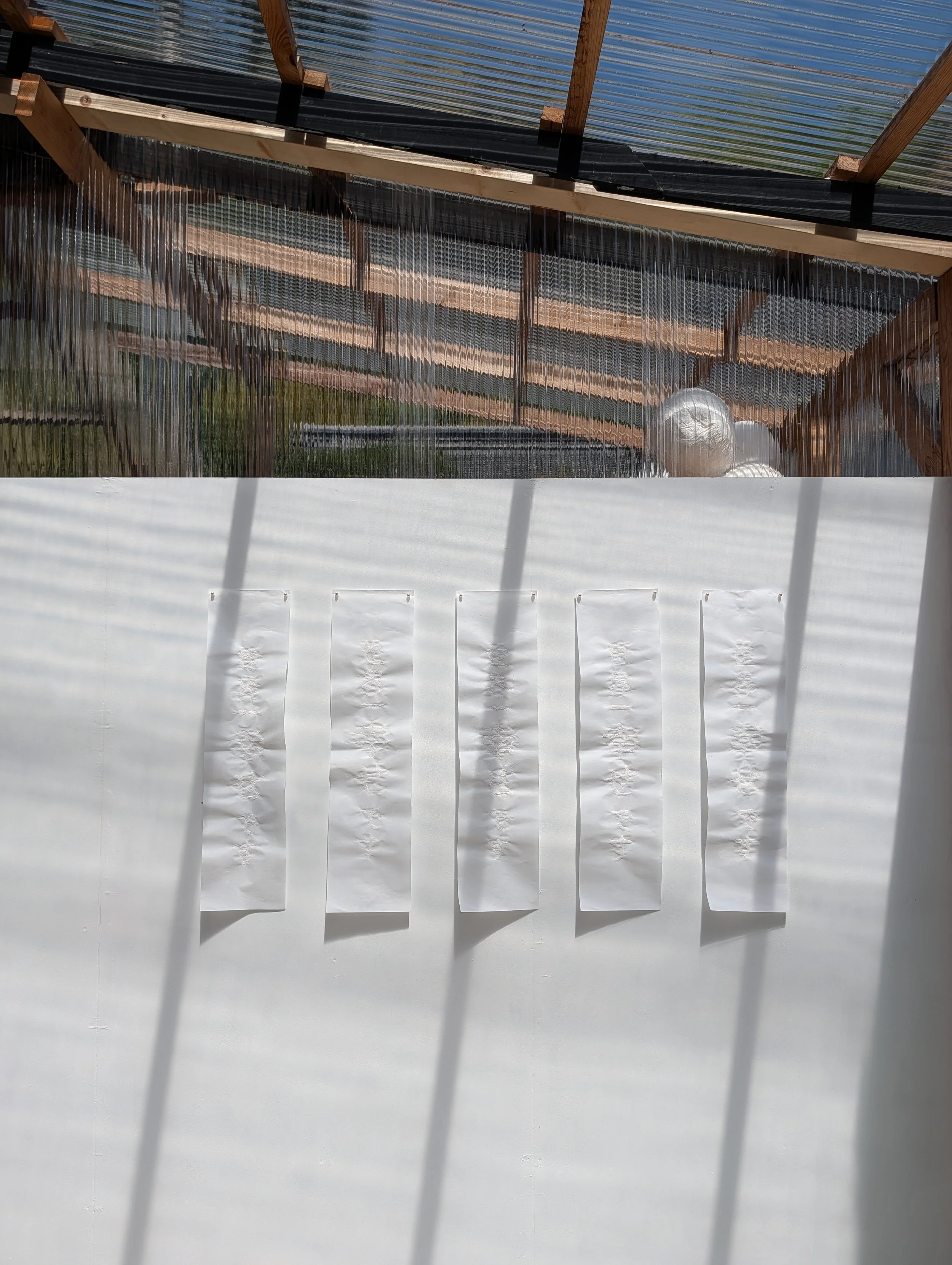 View of a greenhouse or plant enclosure with hanging white balls and a transparent plastic or glass roof, sunny outdoor scene with greenery visible outside.