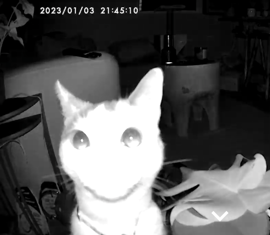 Screenshot_20230103-214755.png