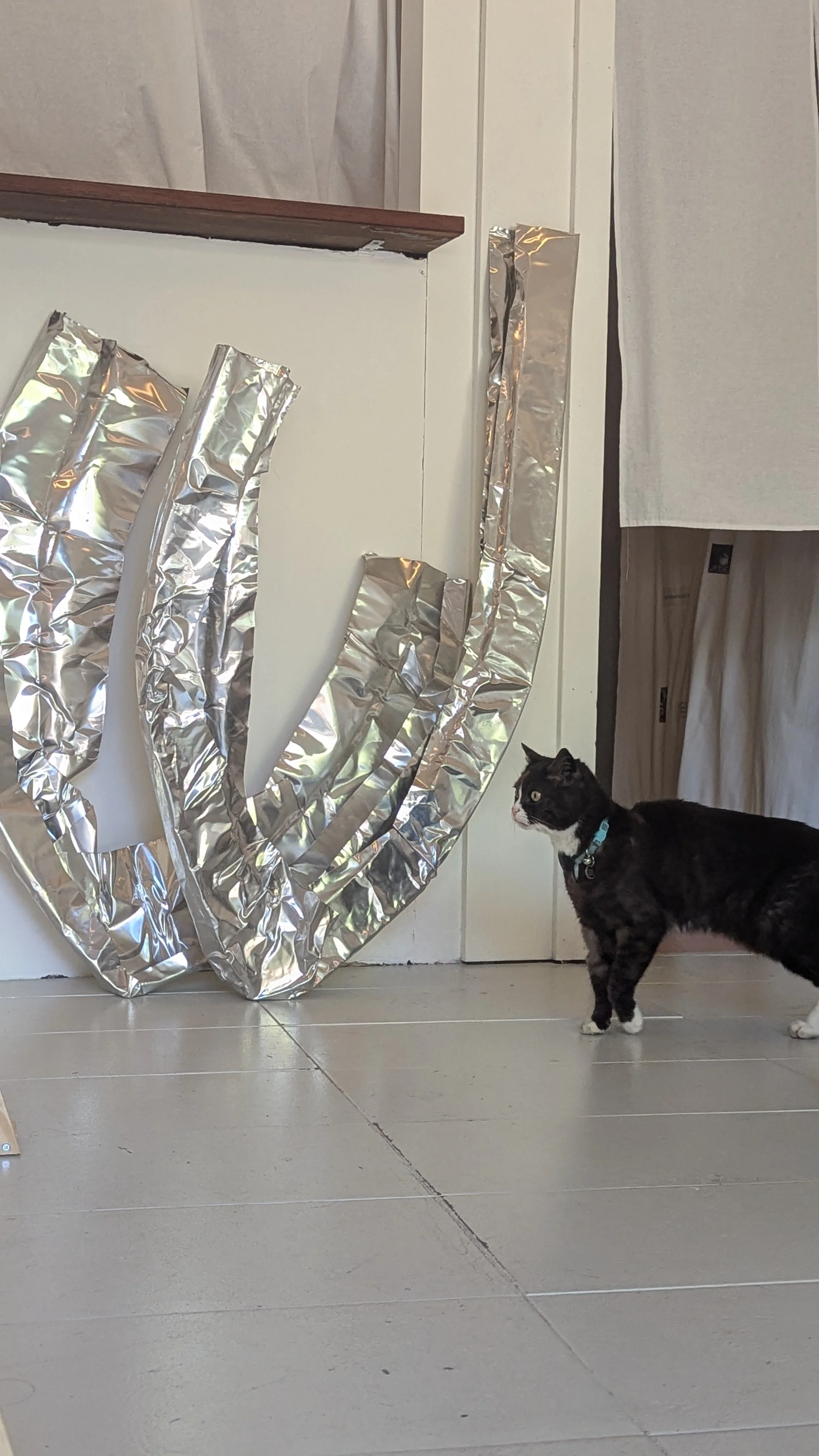 A black and white cat with a blue collar stands on a tiled floor, looking at crumpled aluminum foil and white paper on a wall.