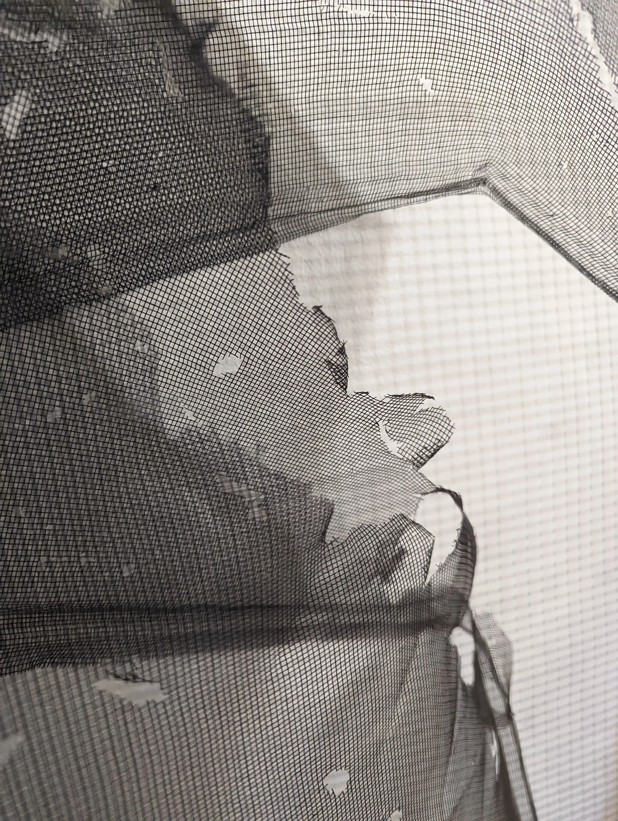 Close-up of torn window screen mesh with a small part of the window frame visible, showing holes and wear in the mesh.