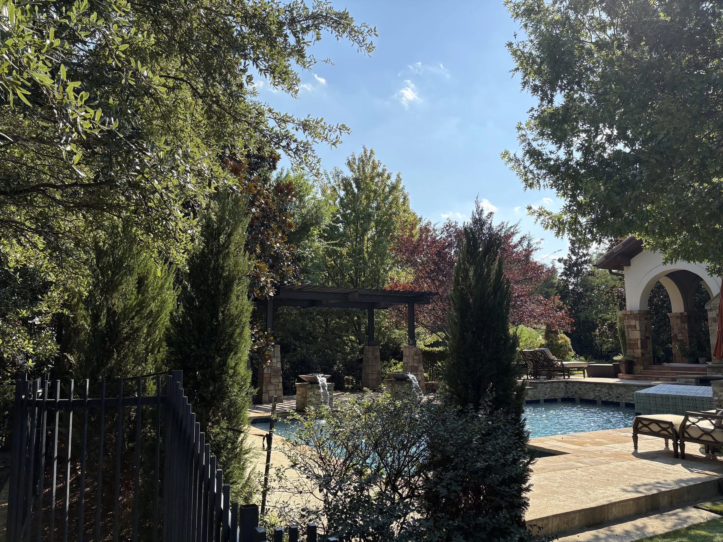 IMG_2050.jpeg
