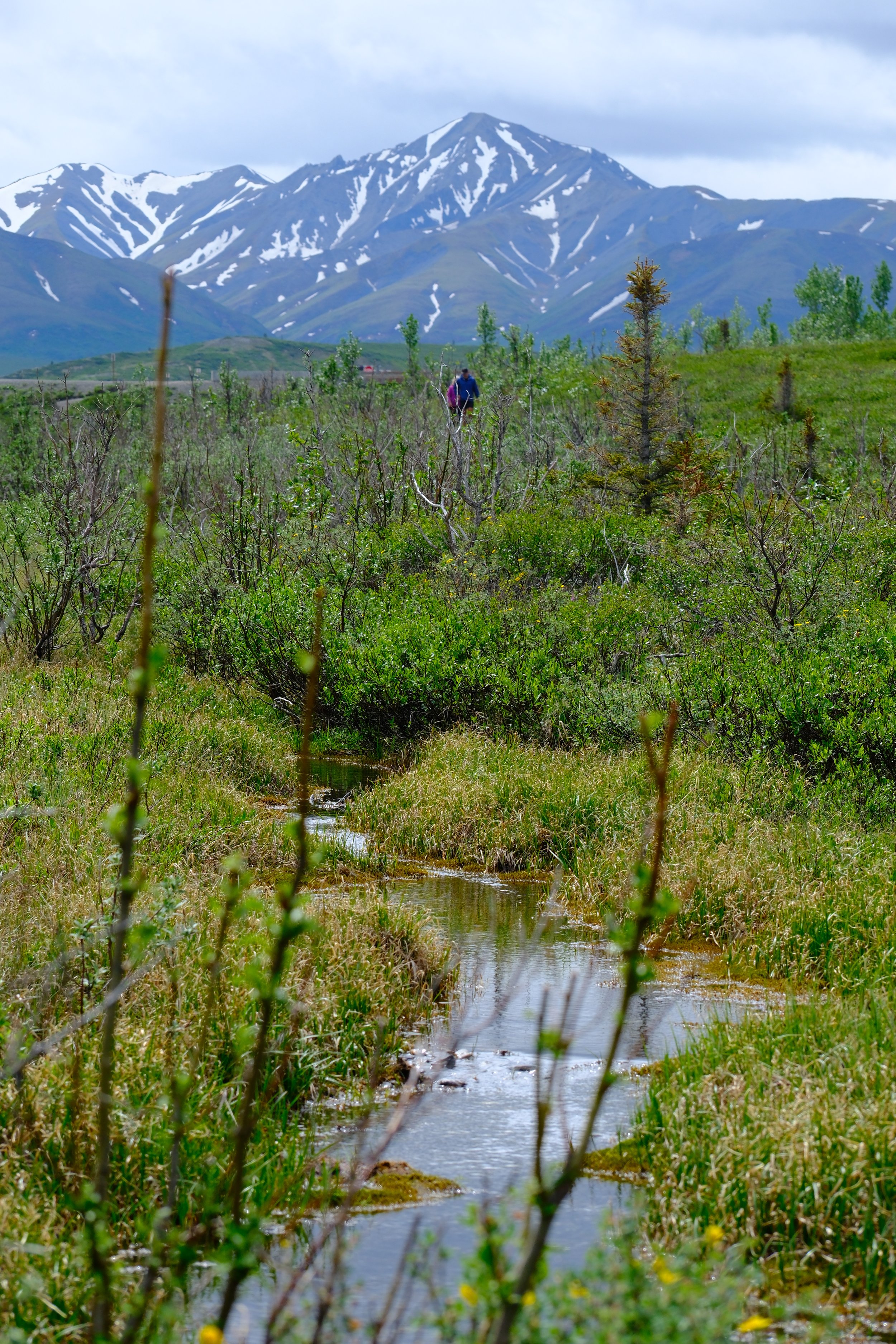 DSCF3136.JPG