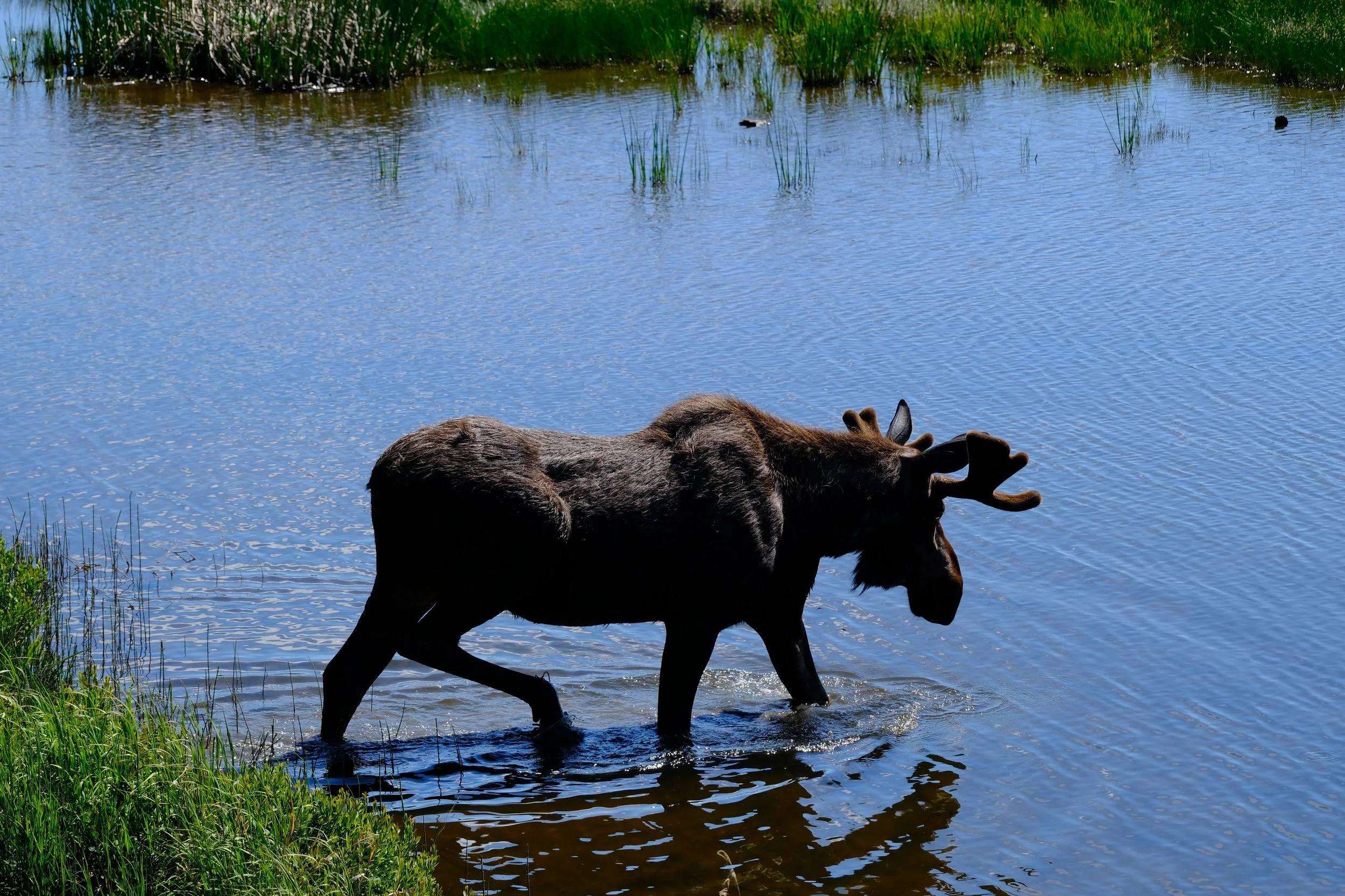 DSCF2238.JPG
