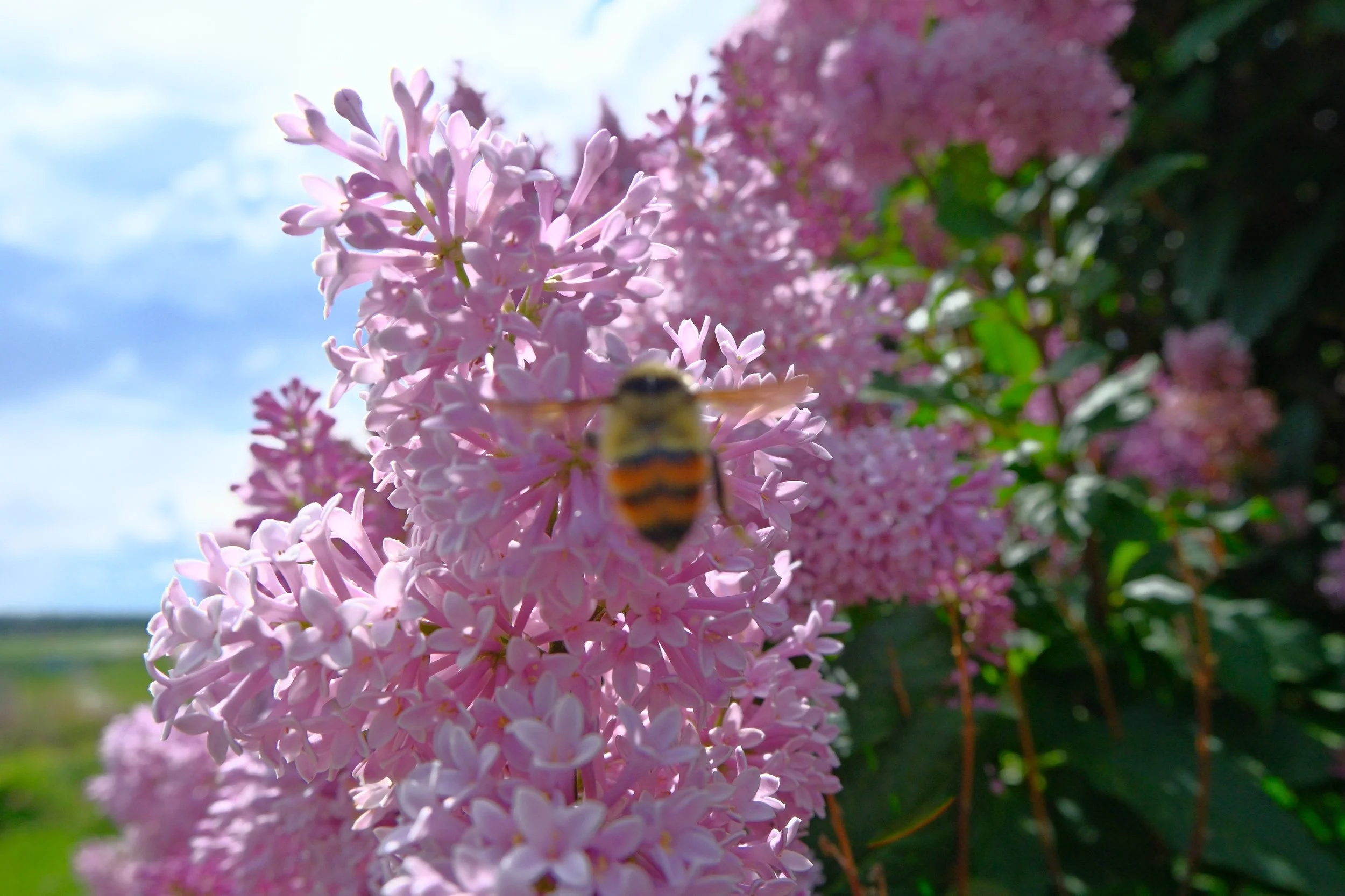 DSCF2940.JPG
