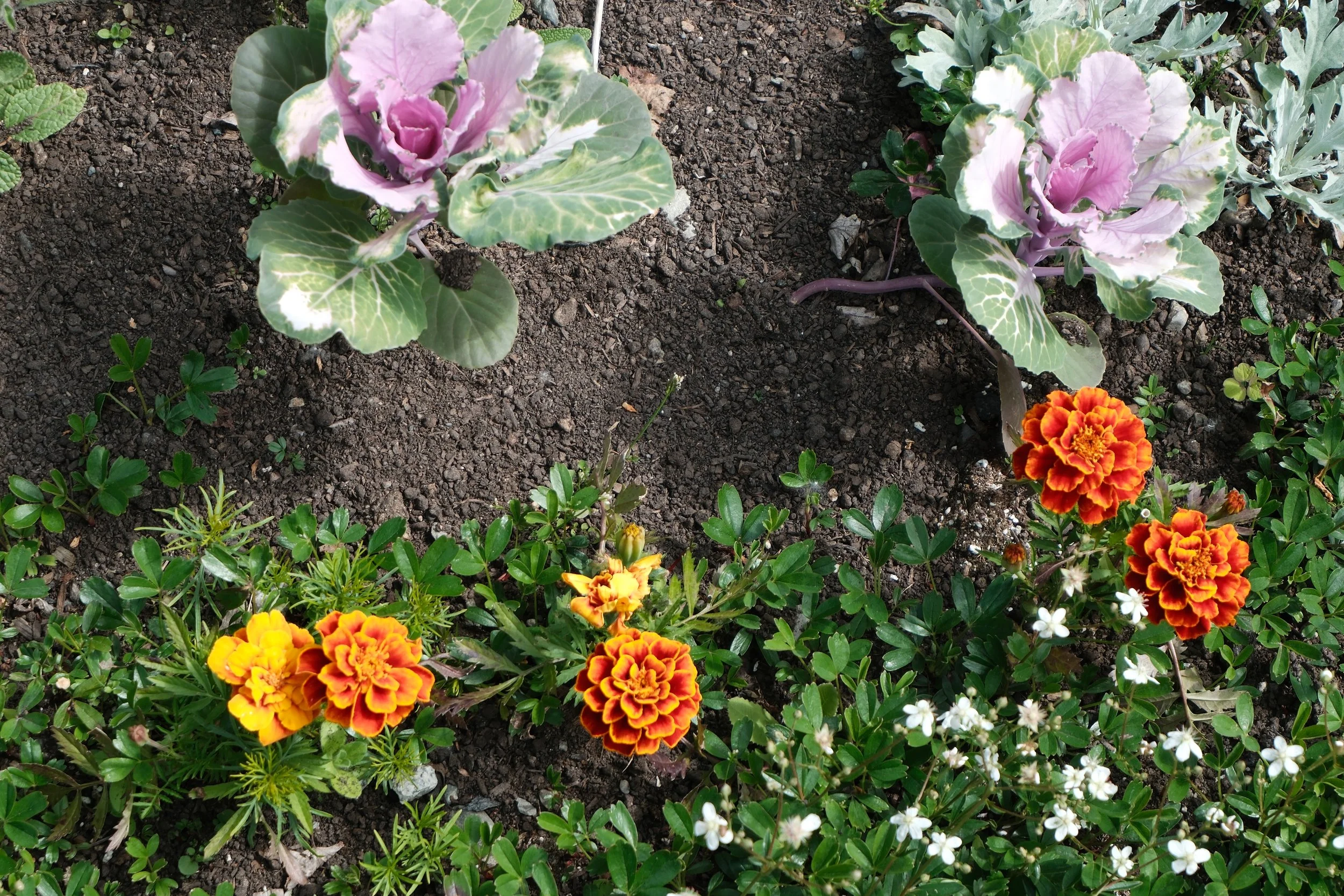 DSCF4830.JPG