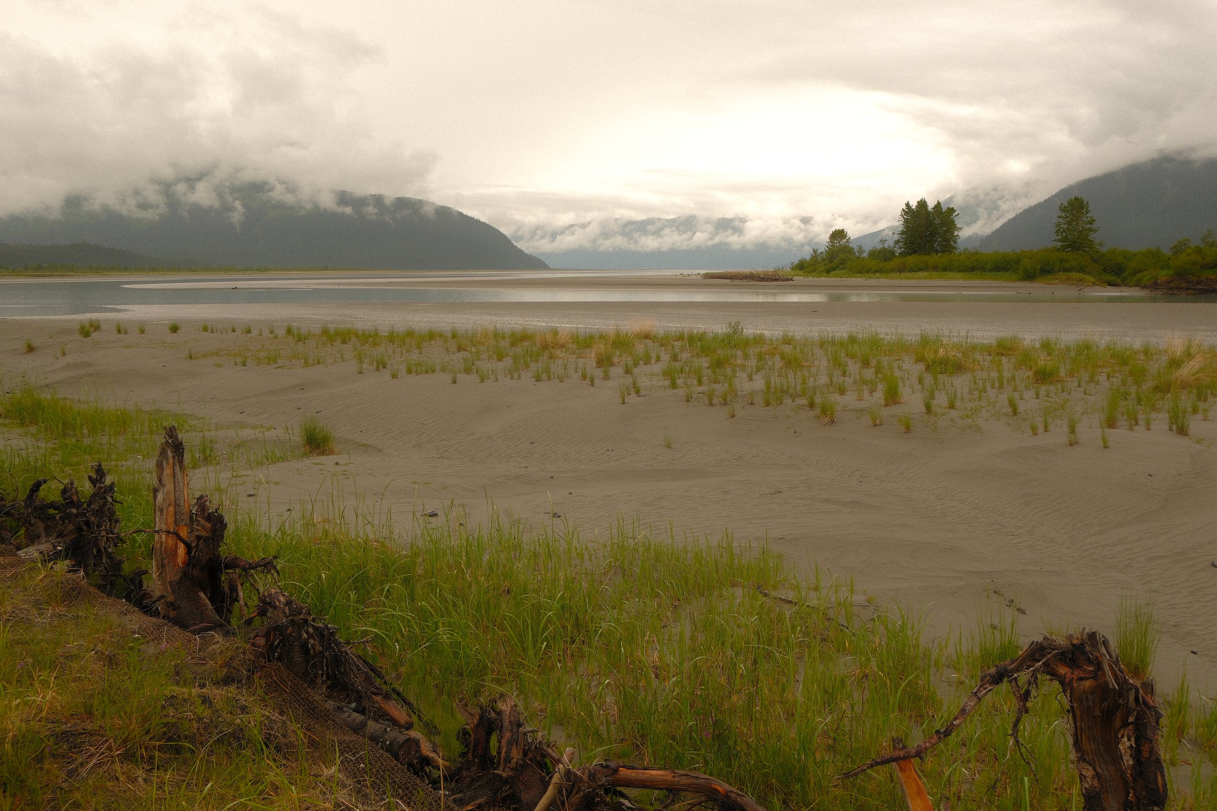 DSCF3470.JPG