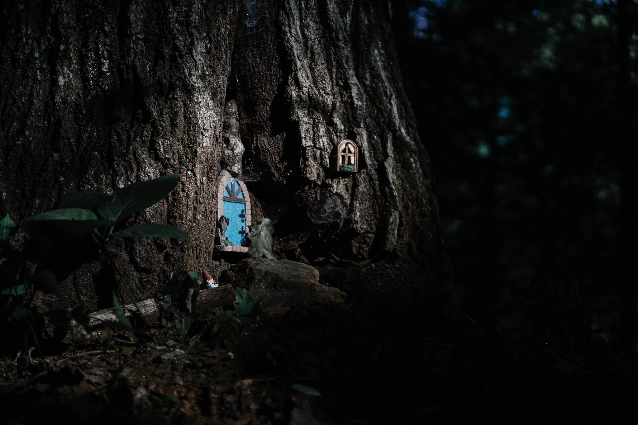 A large tree trunk with small decorative fairy doors attached to its side in a dark, wooded environment.