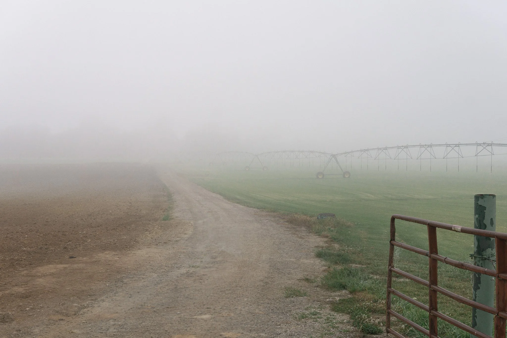 A foggy landscape showing a dirt road, a grassy field, a streak irrigation sprinkler system, and a distant hazy horizon.