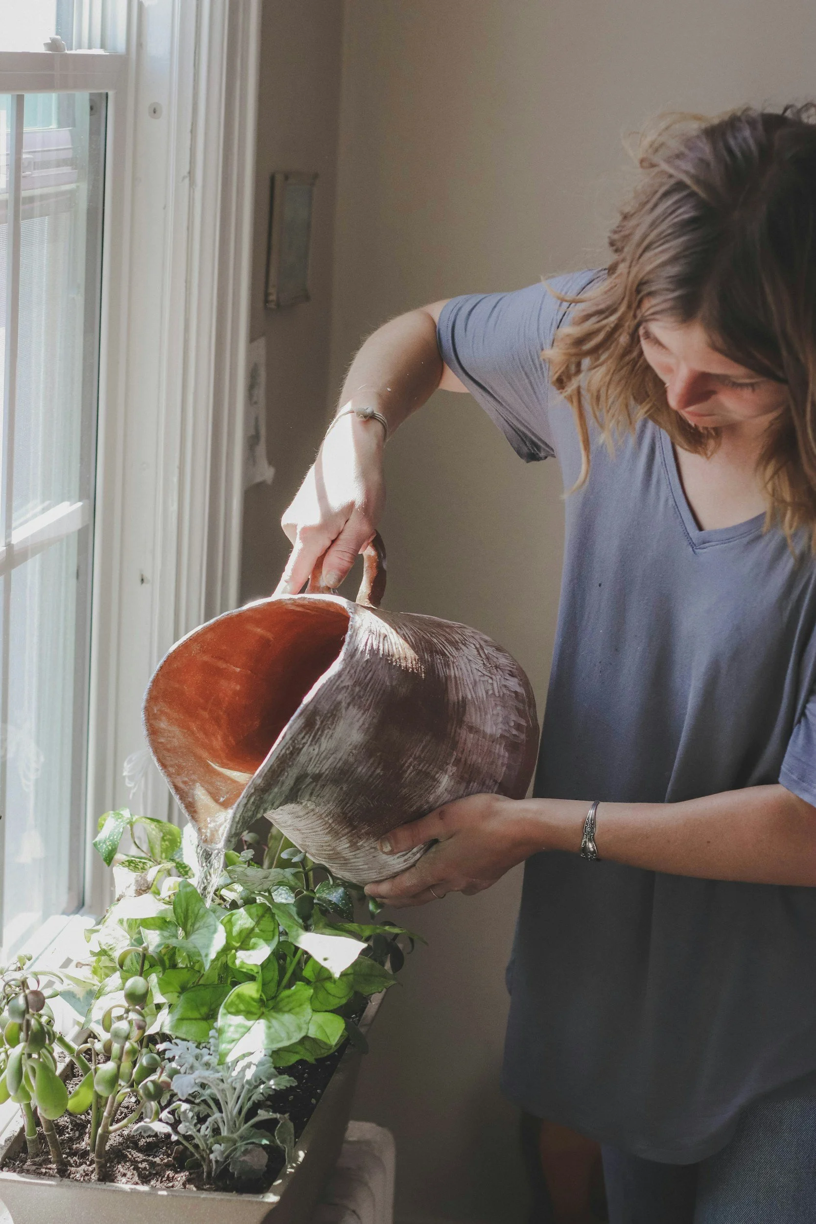 How to start a herb garden