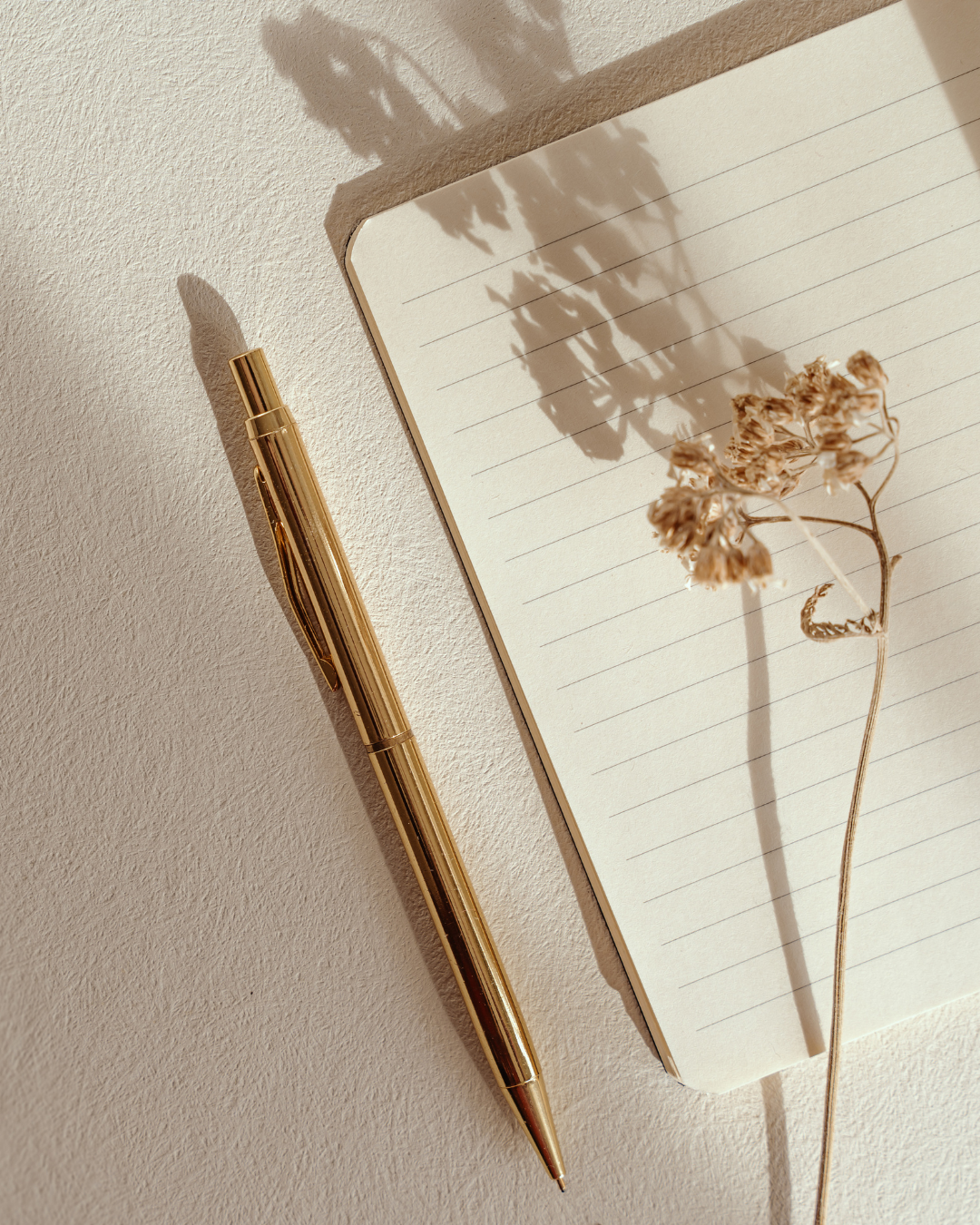 A gold pen, an open lined notebook, and dried flowers casting shadows on a light-colored surface.
