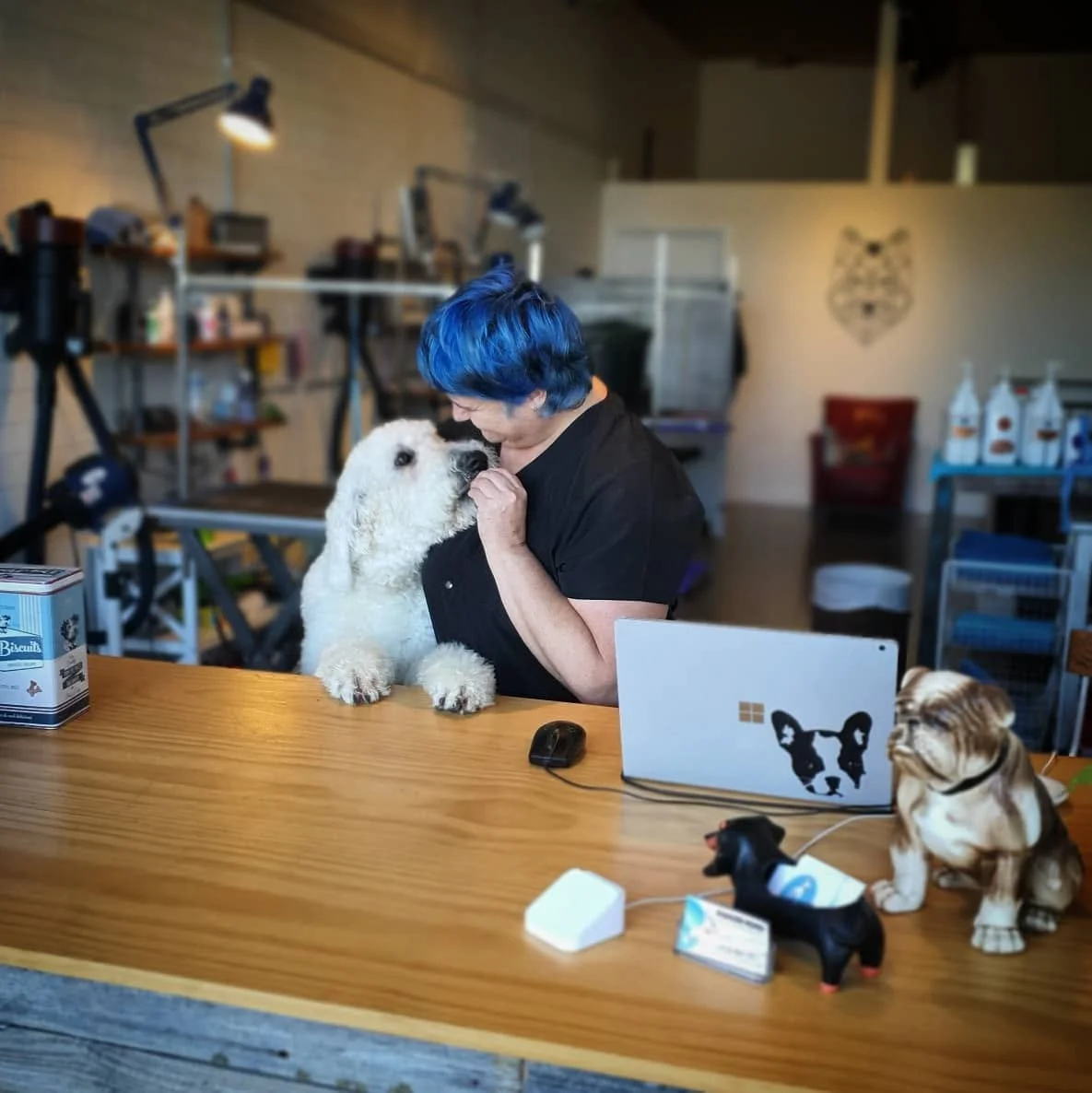 Steph Hall holding a happy dog in a grooming salon