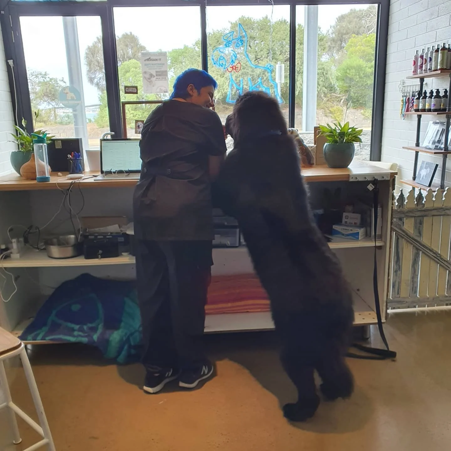Steph Hall next to huge dog
