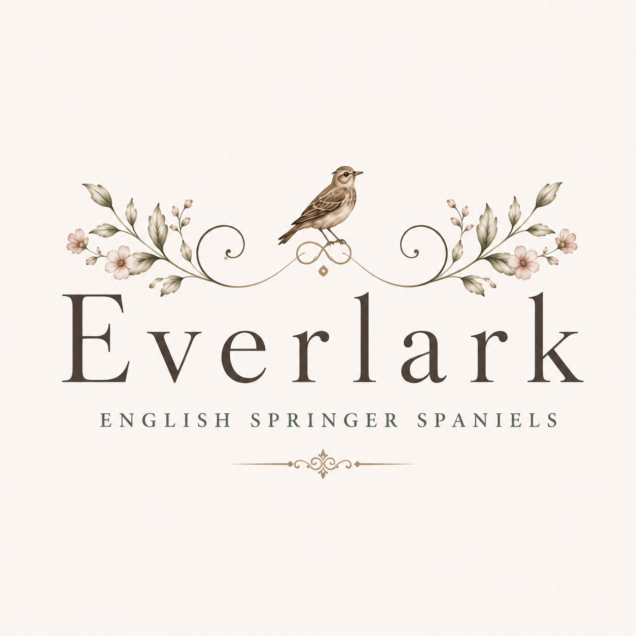 Everlark English Springer Spaniels