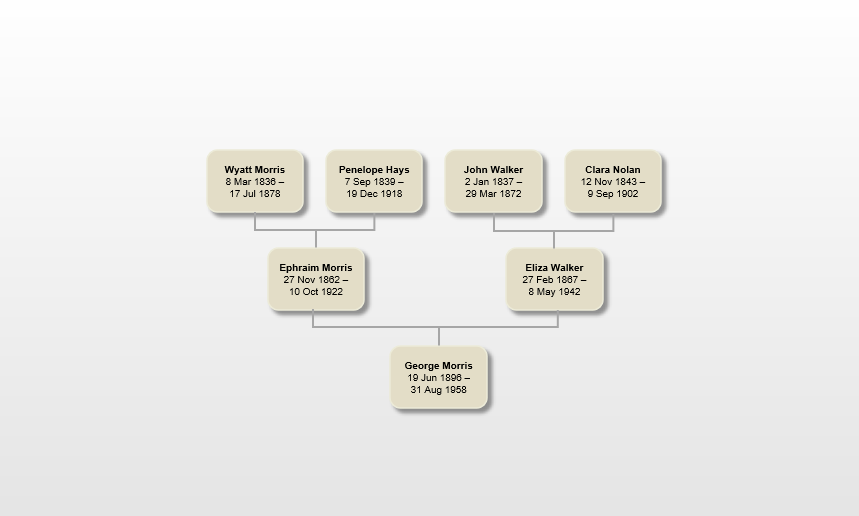 Comprehensive Genealogical Research Project (10 Hours)