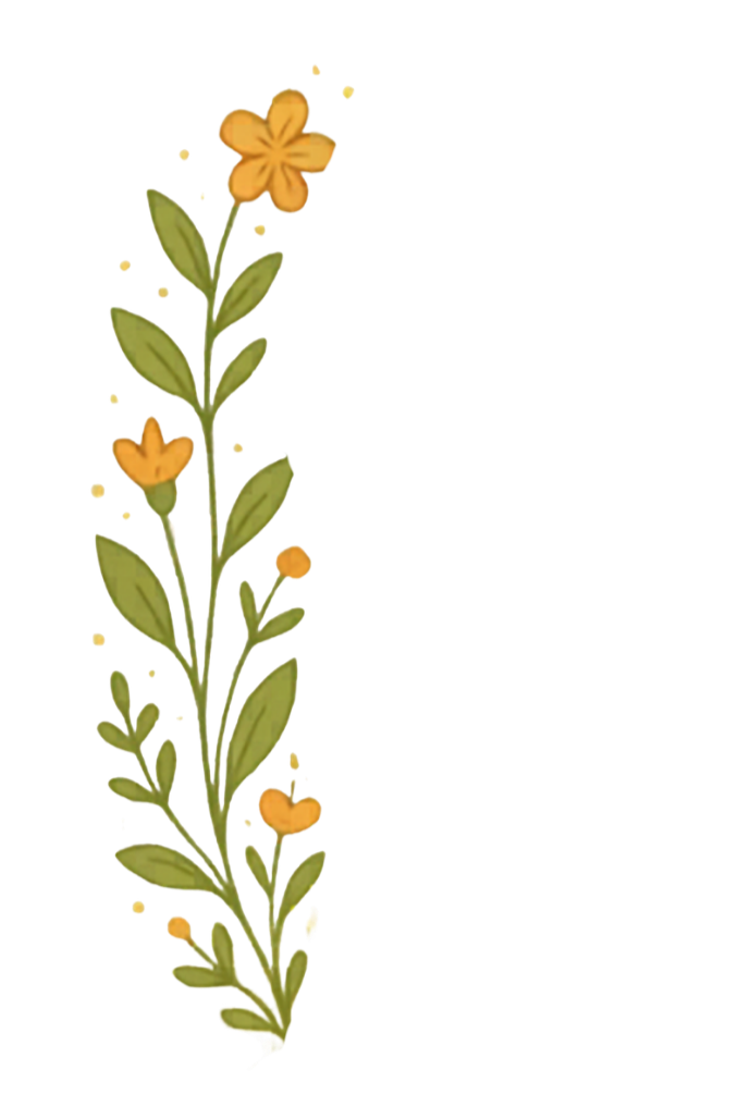 A vertical drawing of a flowering plant with green leaves and small orange flowers.