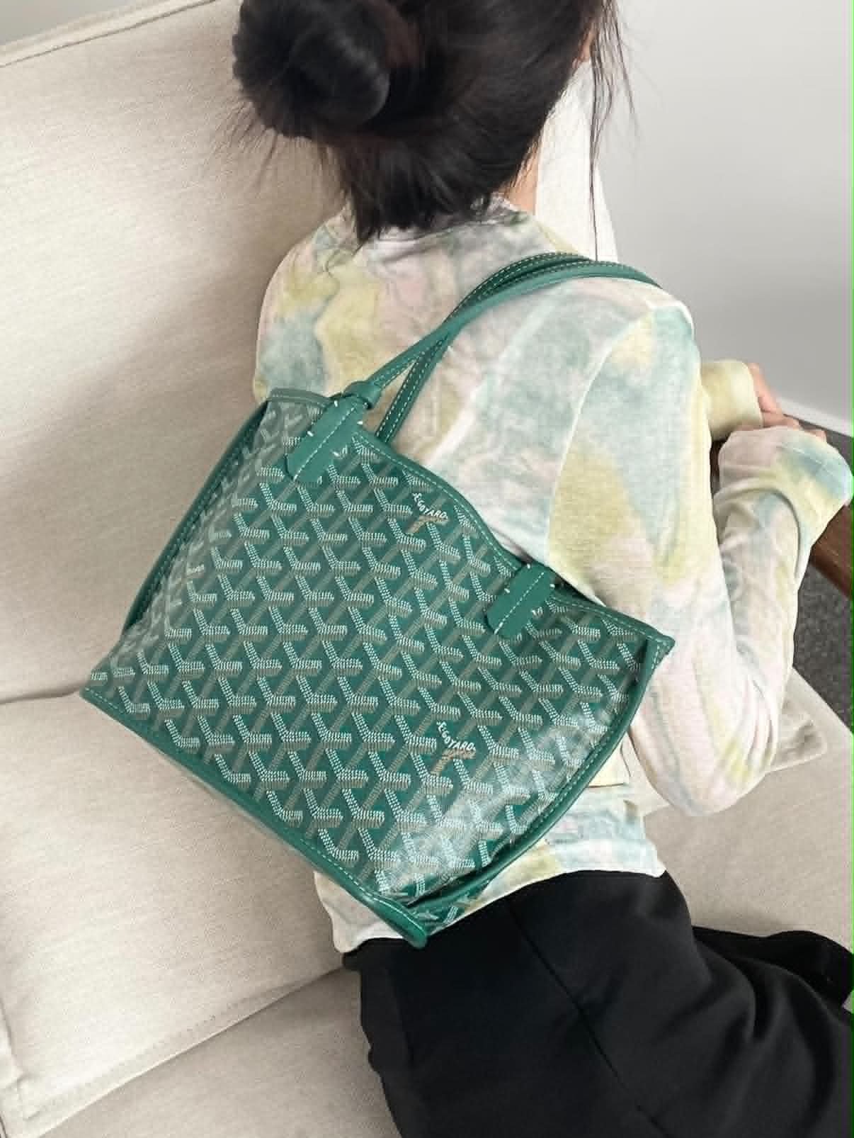Goyard Mini Anjou